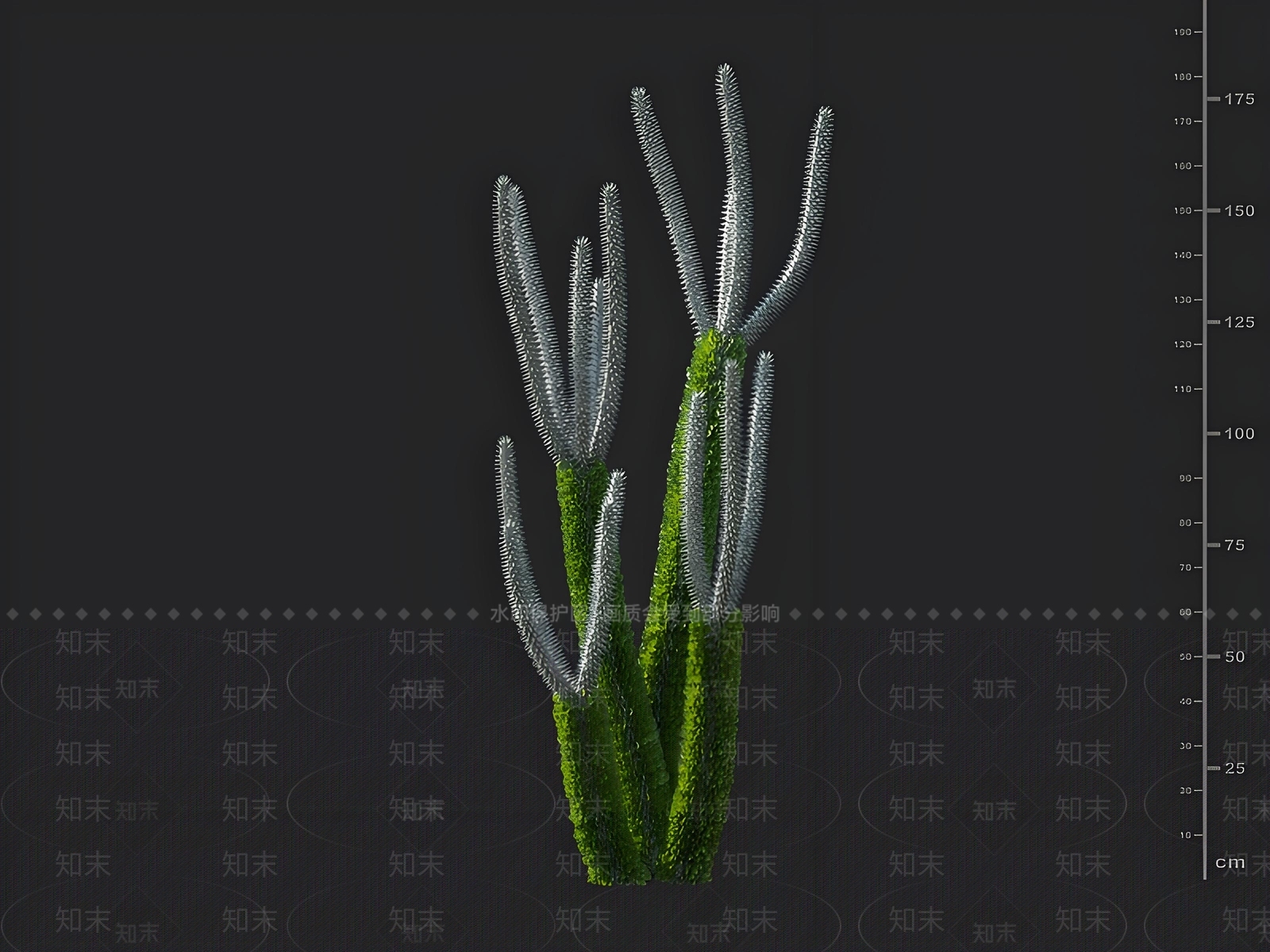 景观树3D模型下载【ID:1163011978】