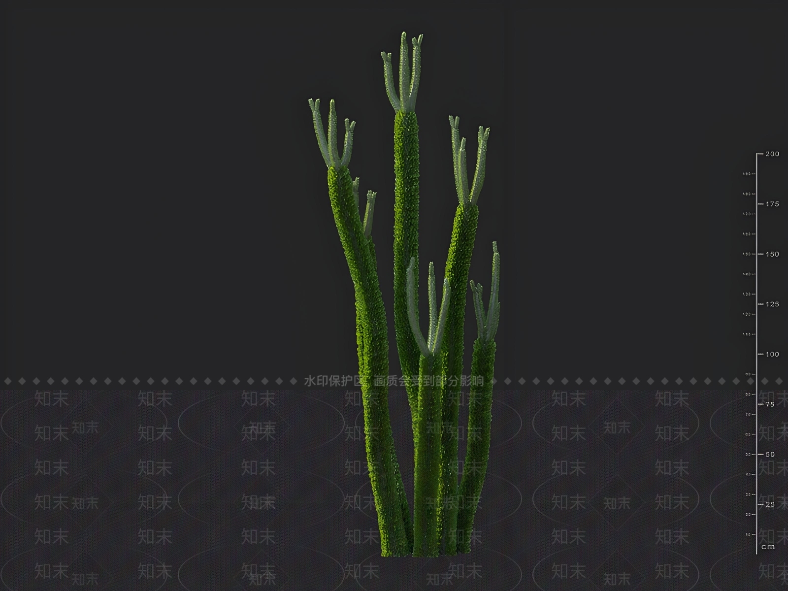 景观树3D模型下载【ID:1163012048】