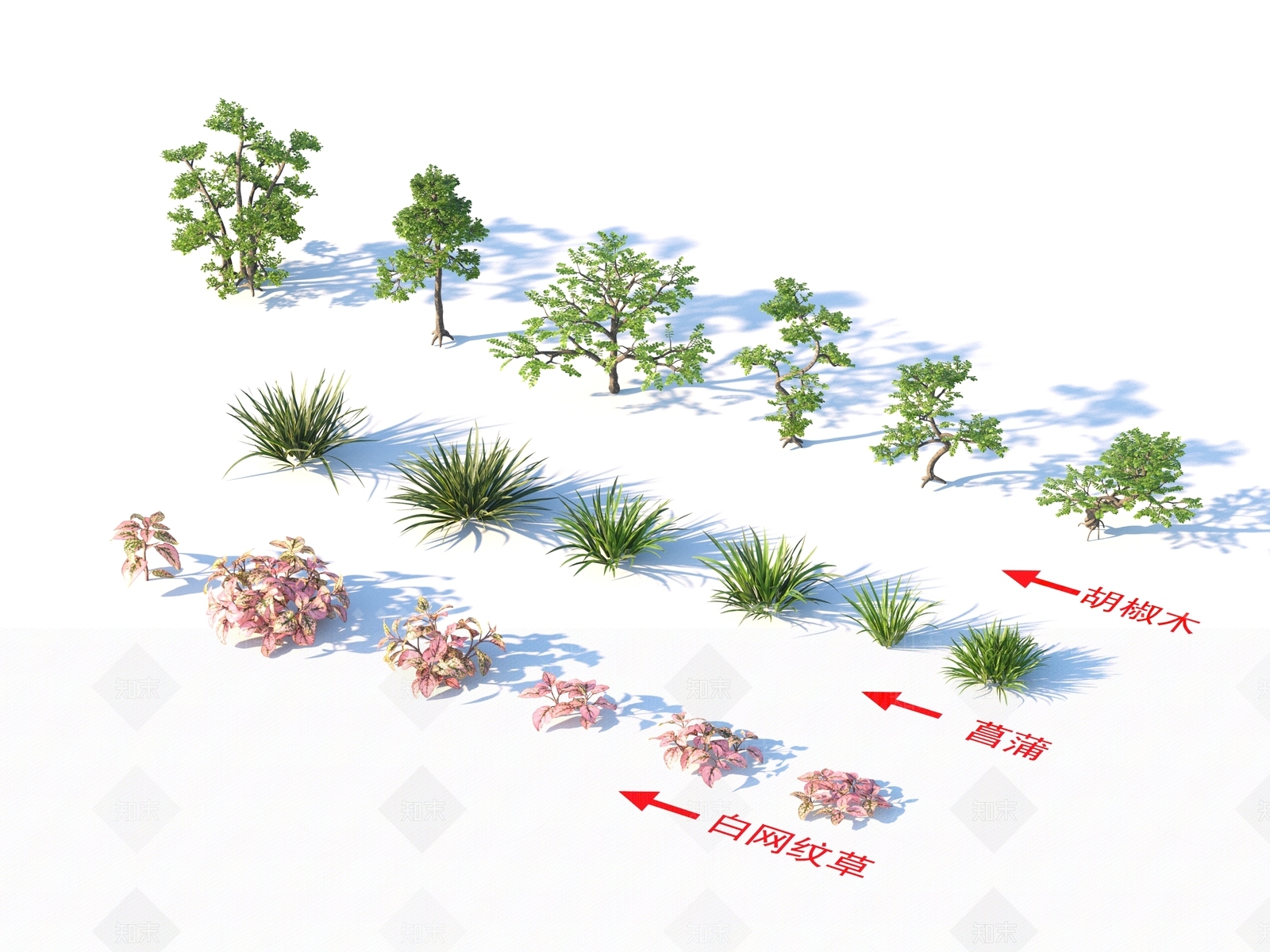 花草组合3D模型下载【ID:1163010523】