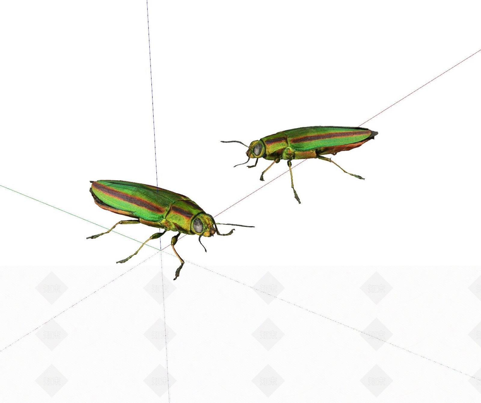爬行动物SU模型下载【ID:1163011669】