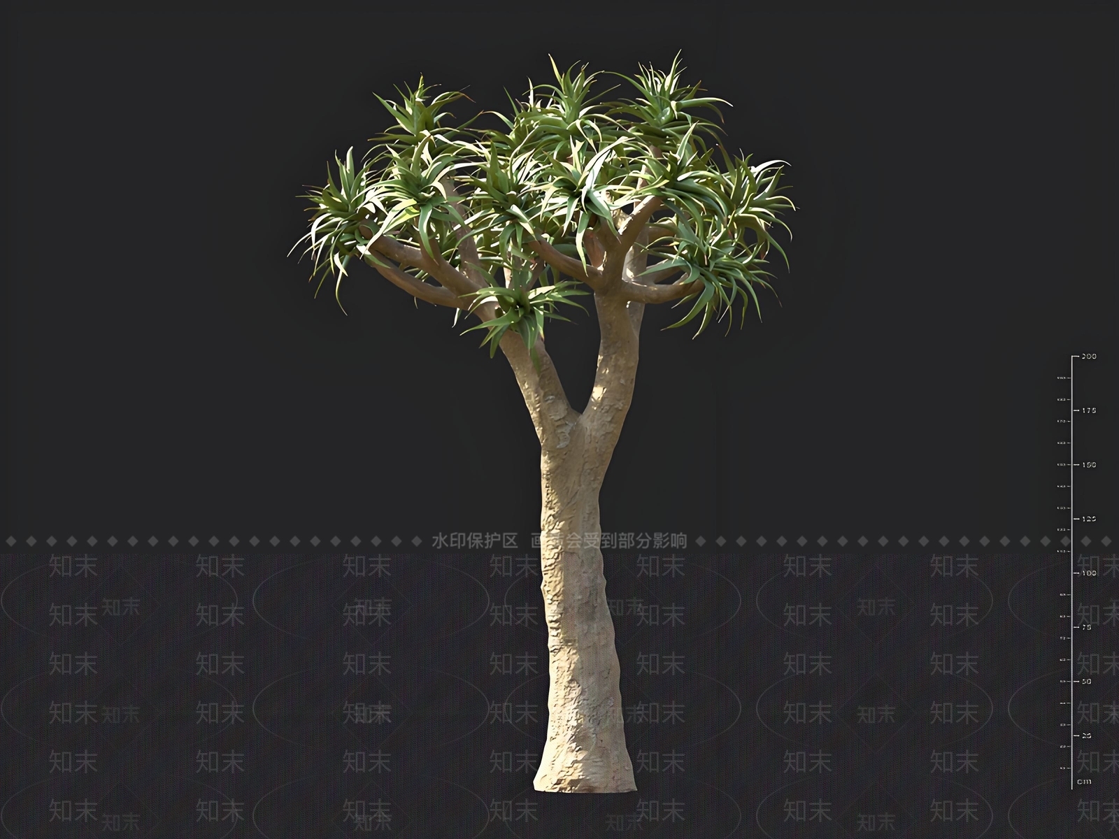 景观树3D模型下载【ID:1163016217】