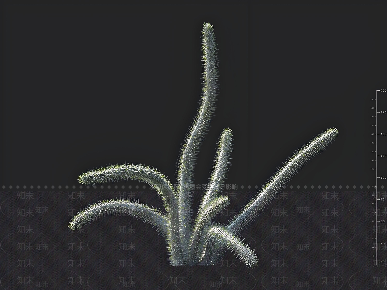 景观树3D模型下载【ID:1163019558】