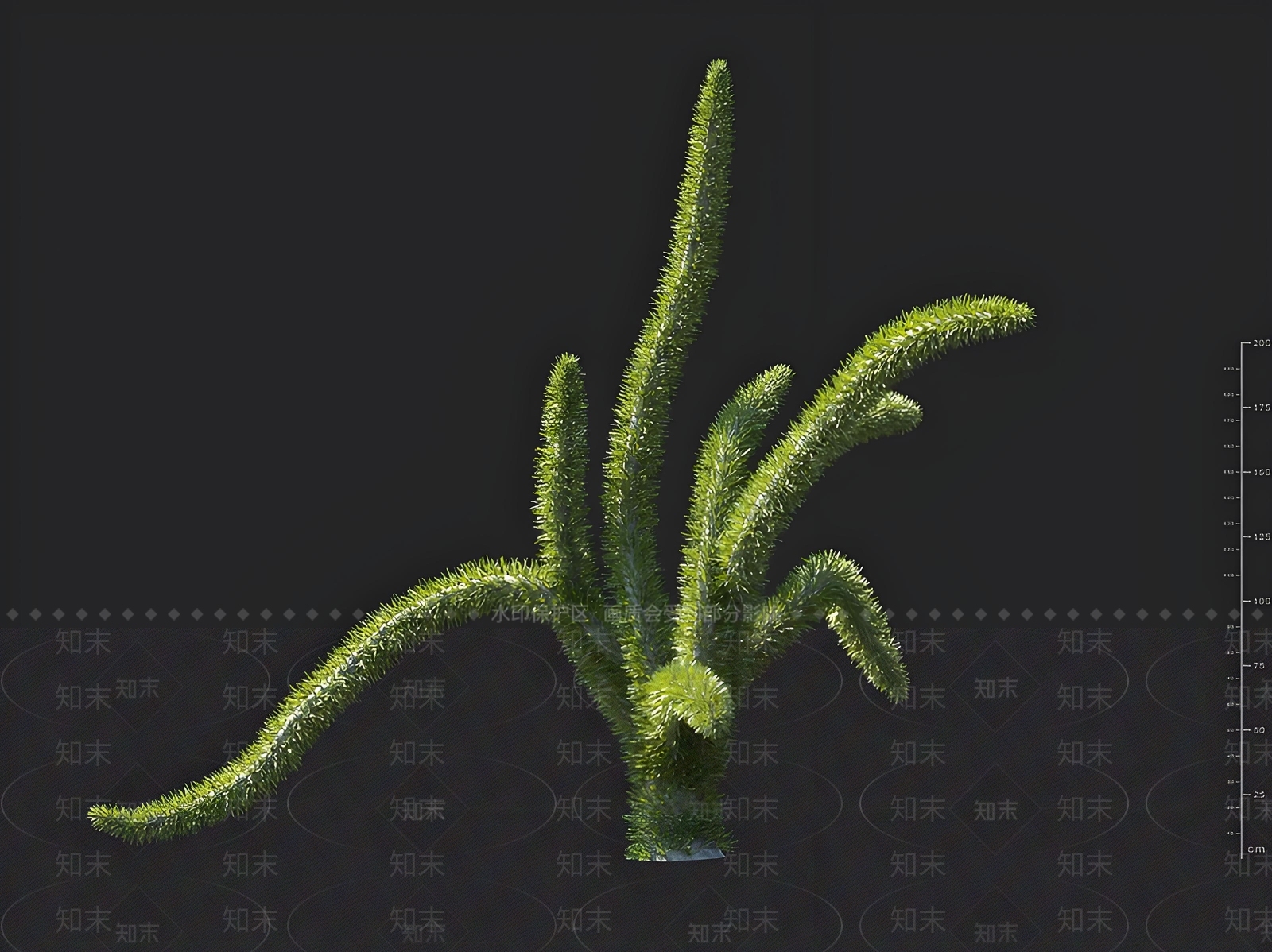 景观树3D模型下载【ID:1163019742】