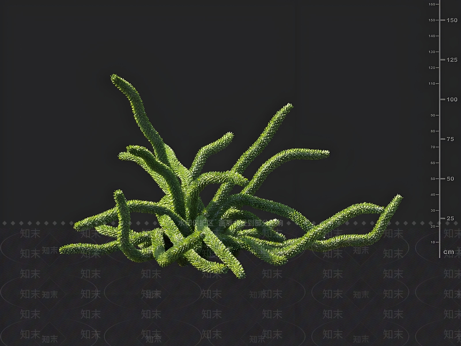 灌木3D模型下载【ID:1163021616】