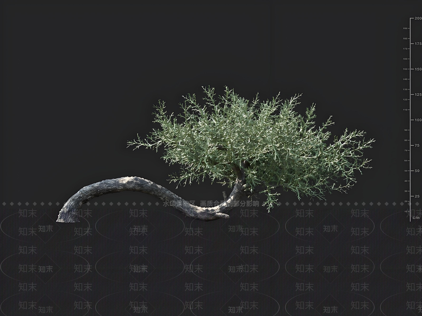 景观树3D模型下载【ID:1163024221】