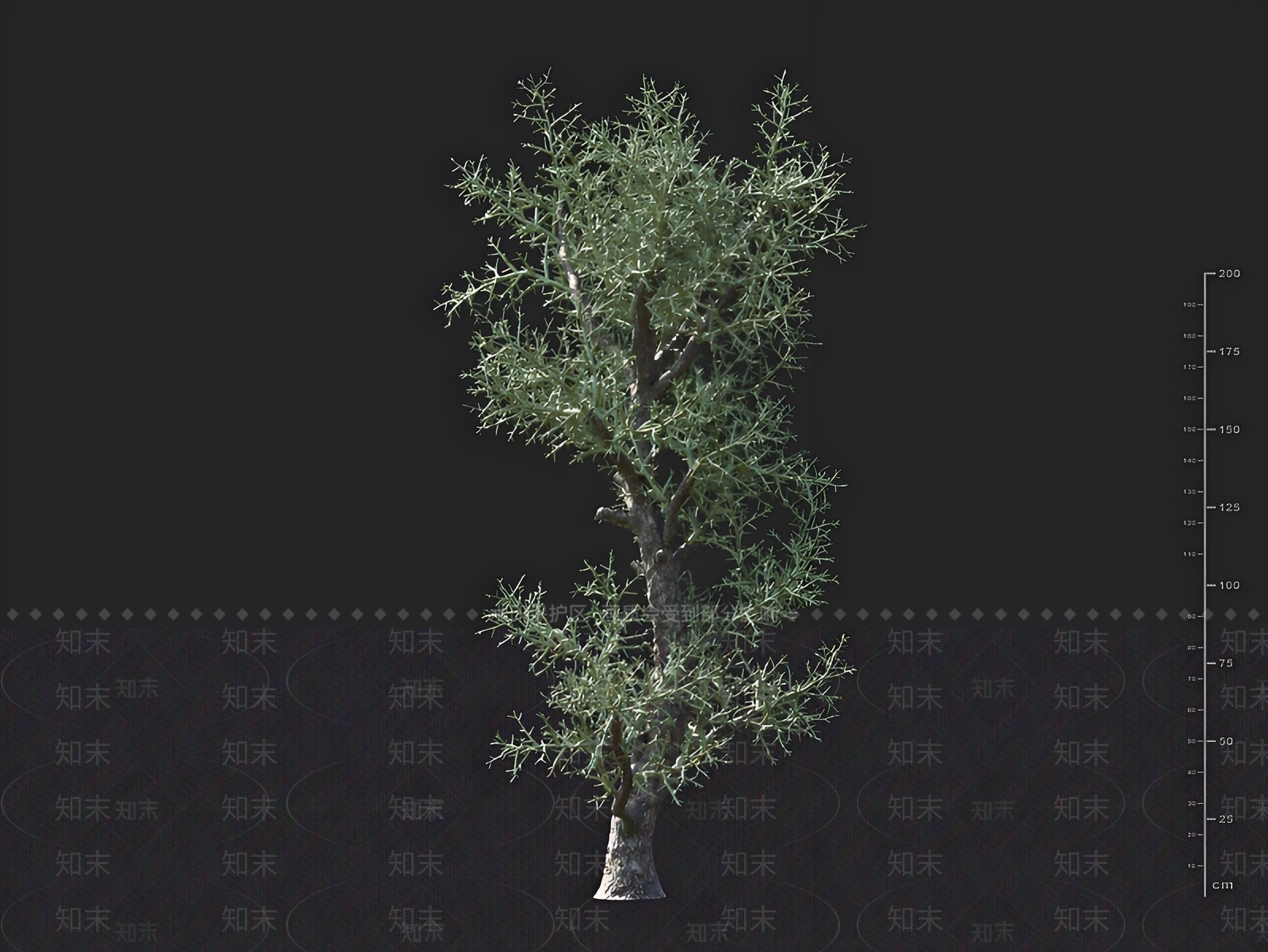 景观树3D模型下载【ID:1163025556】