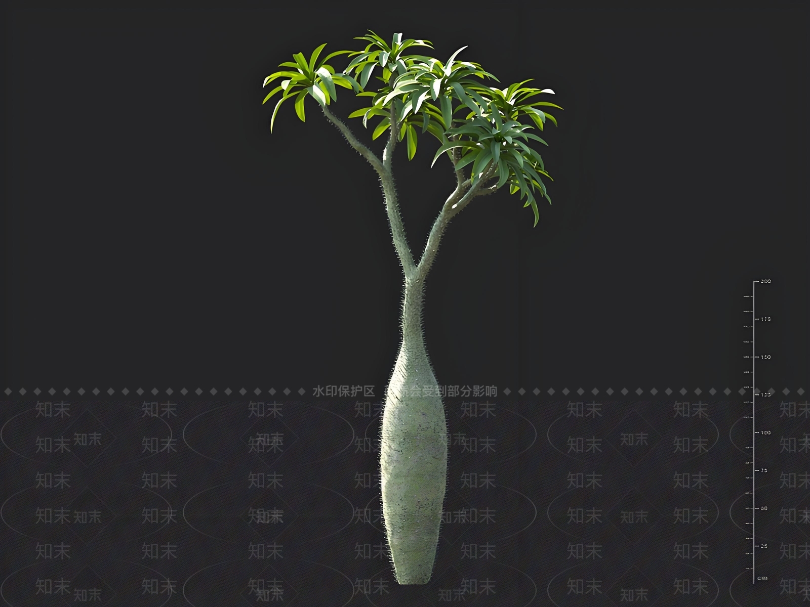 景观树3D模型下载【ID:1163029528】