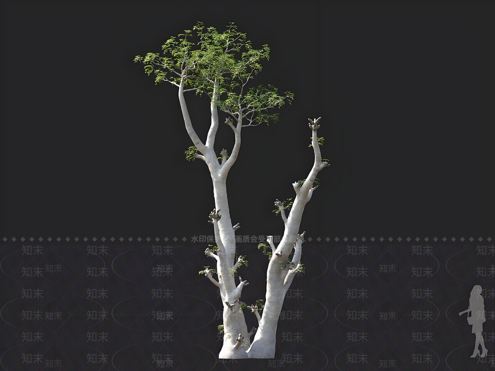 景观树3D模型下载【ID:1163030268】