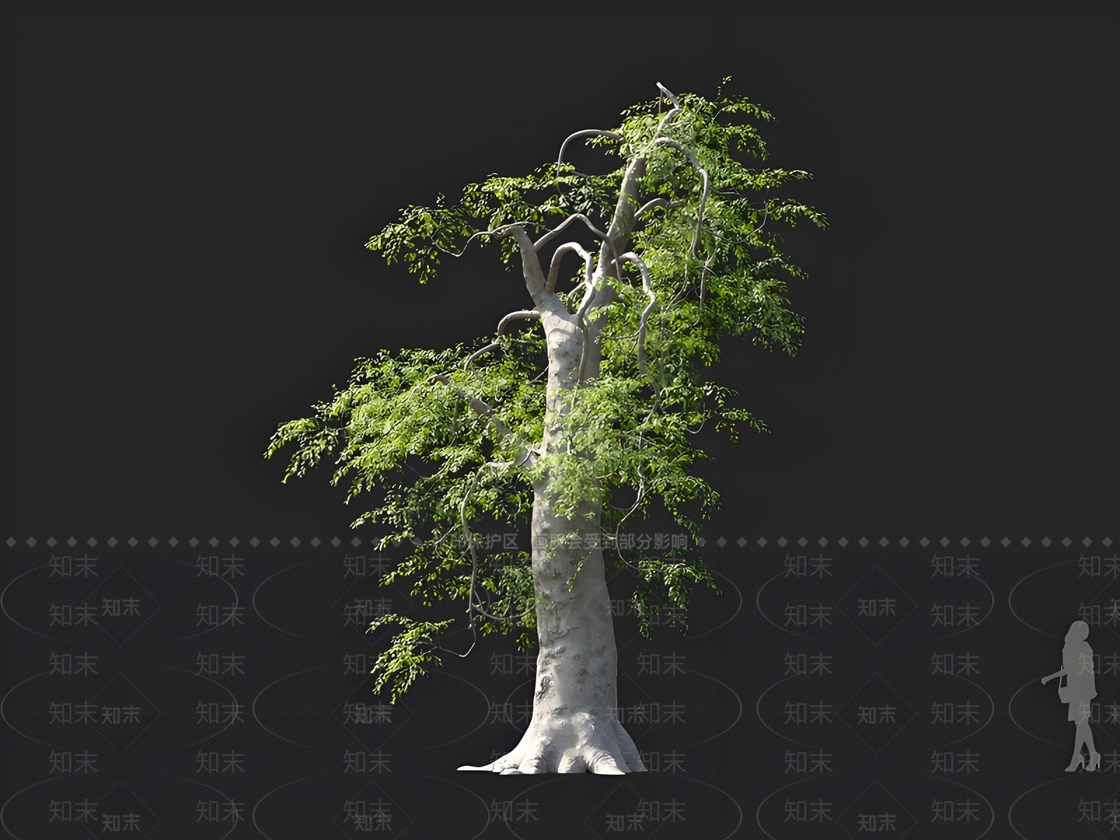 乔木3D模型下载【ID:1163031232】