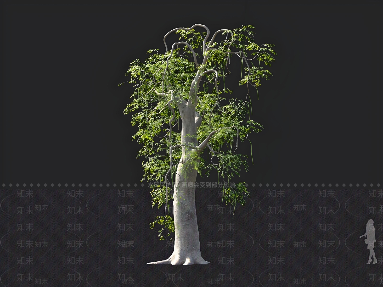 乔木3D模型下载【ID:1163031219】