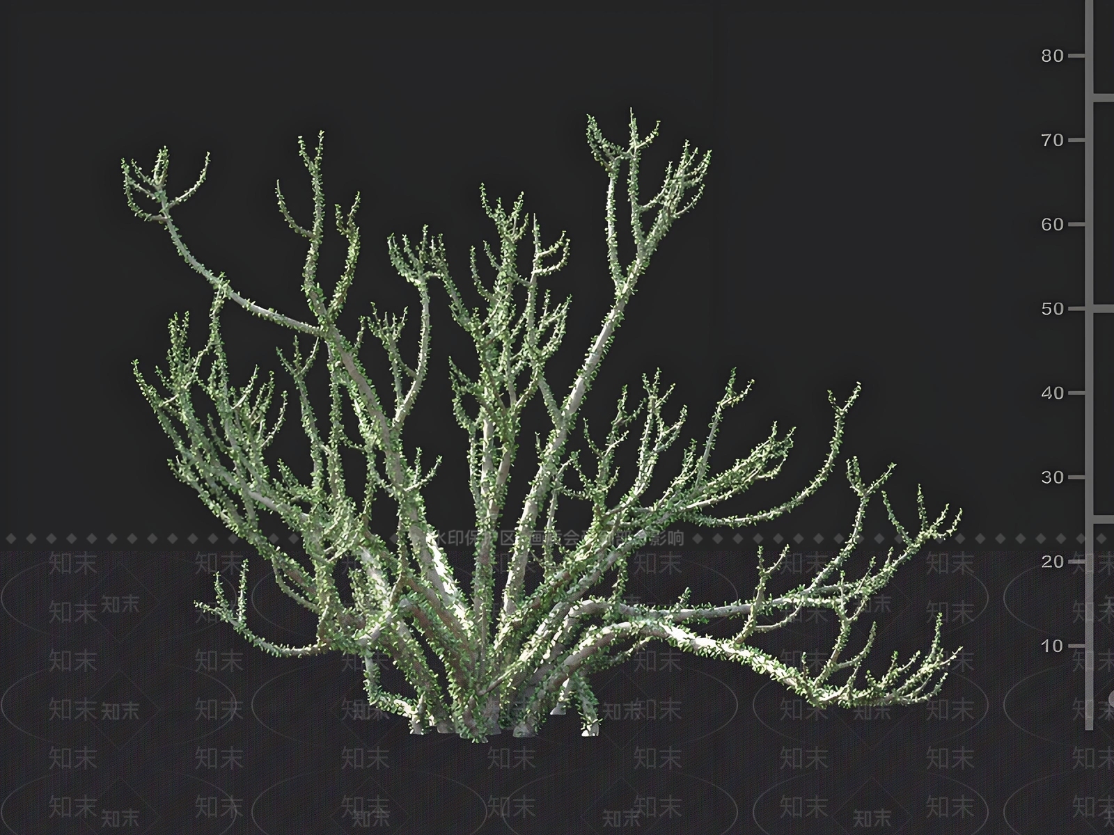 灌木3D模型下载【ID:1163031644】