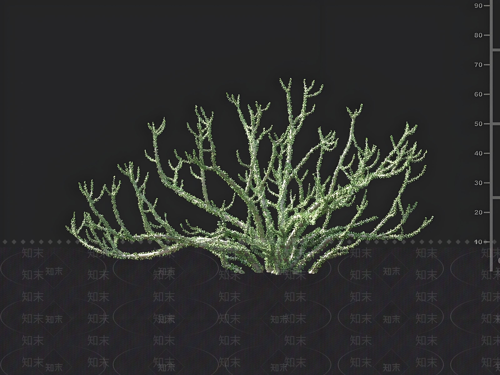 灌木3D模型下载【ID:1163031686】