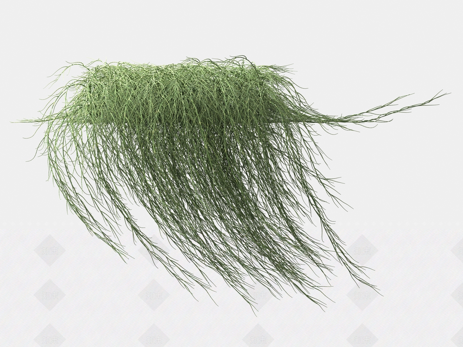 草3D模型下载【ID:1163080354】
