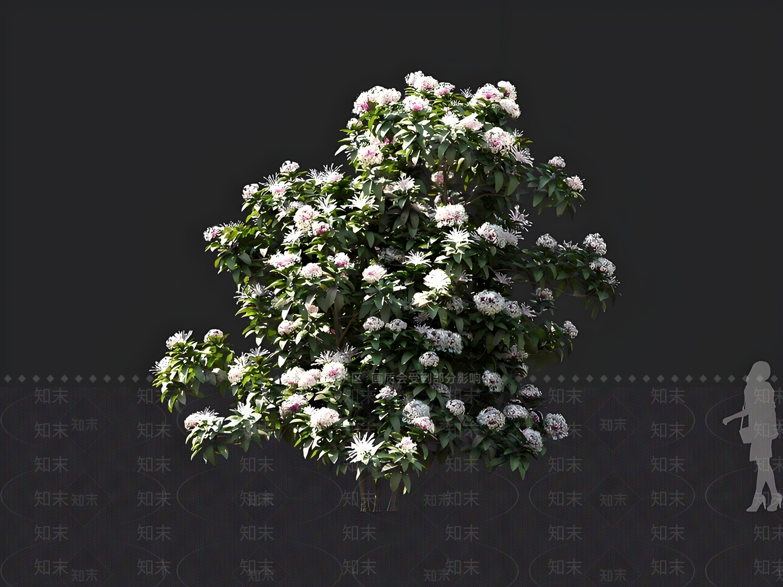 灌木3D模型下载【ID:1163082508】
