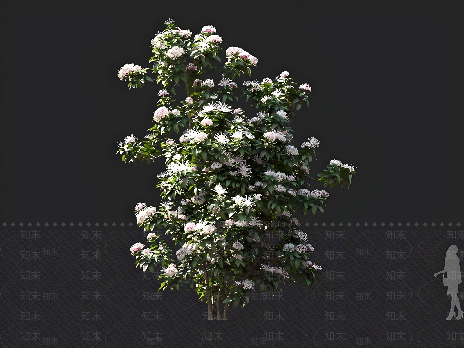 灌木3D模型下载【ID:1163082694】