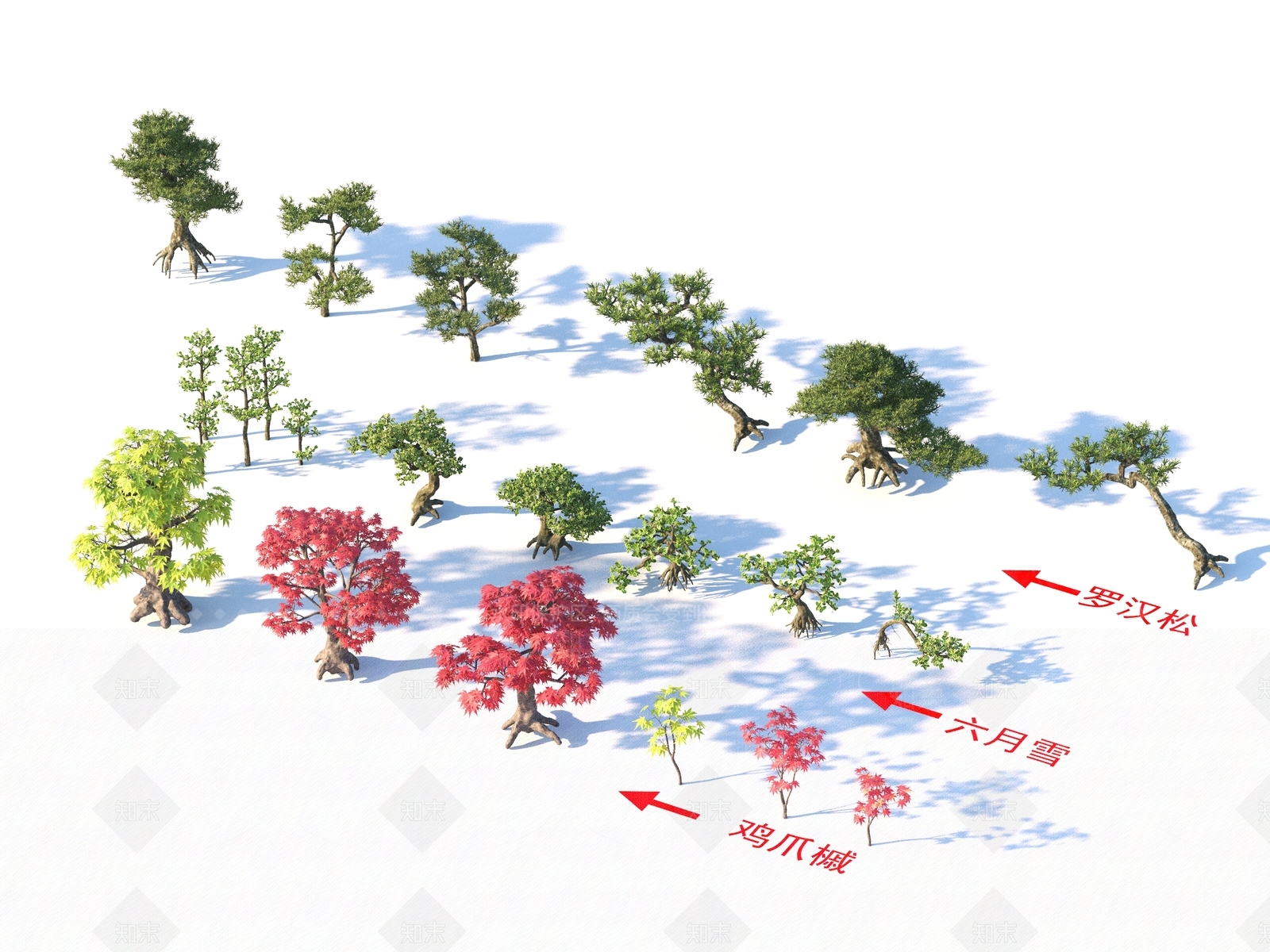 灌木3D模型下载【ID:1163086444】