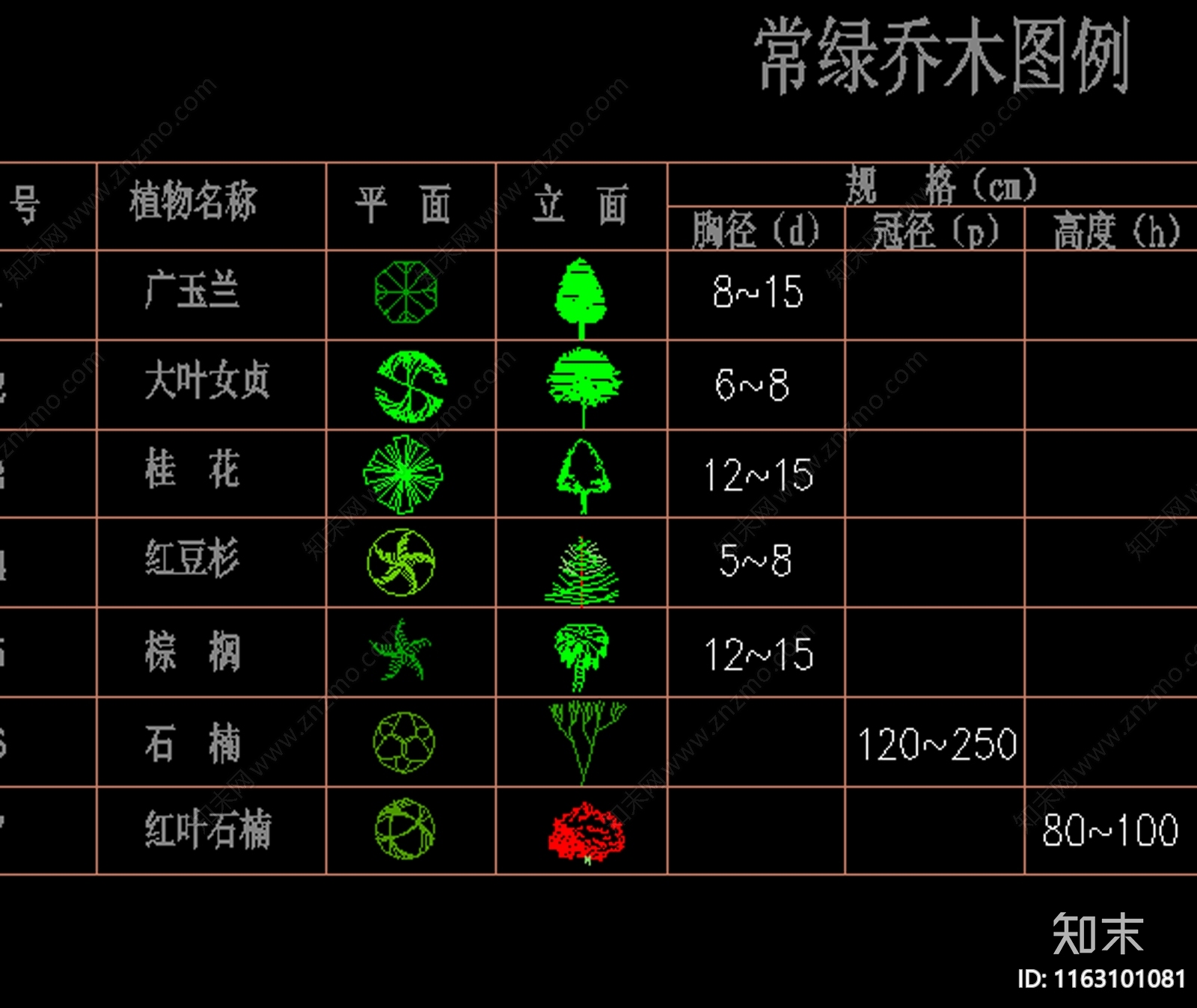 现代植物配置图库施工图下载【ID:1163101081】