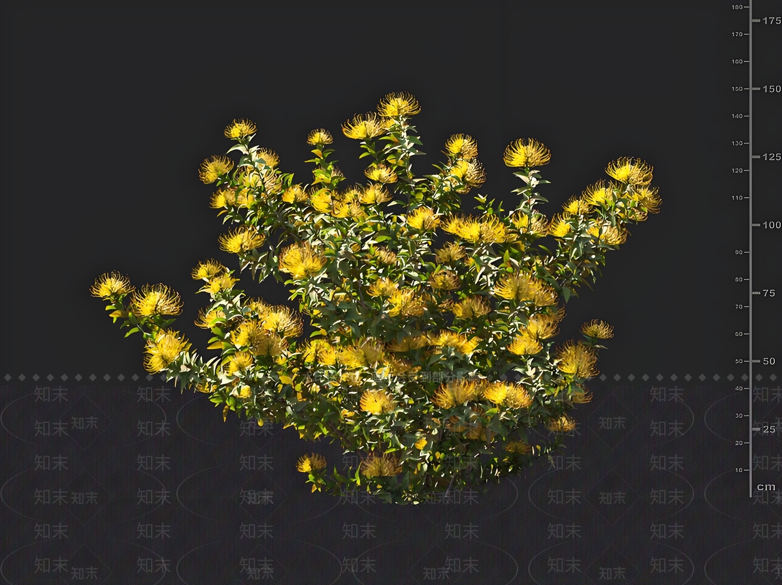 灌木3D模型下载【ID:1163122598】