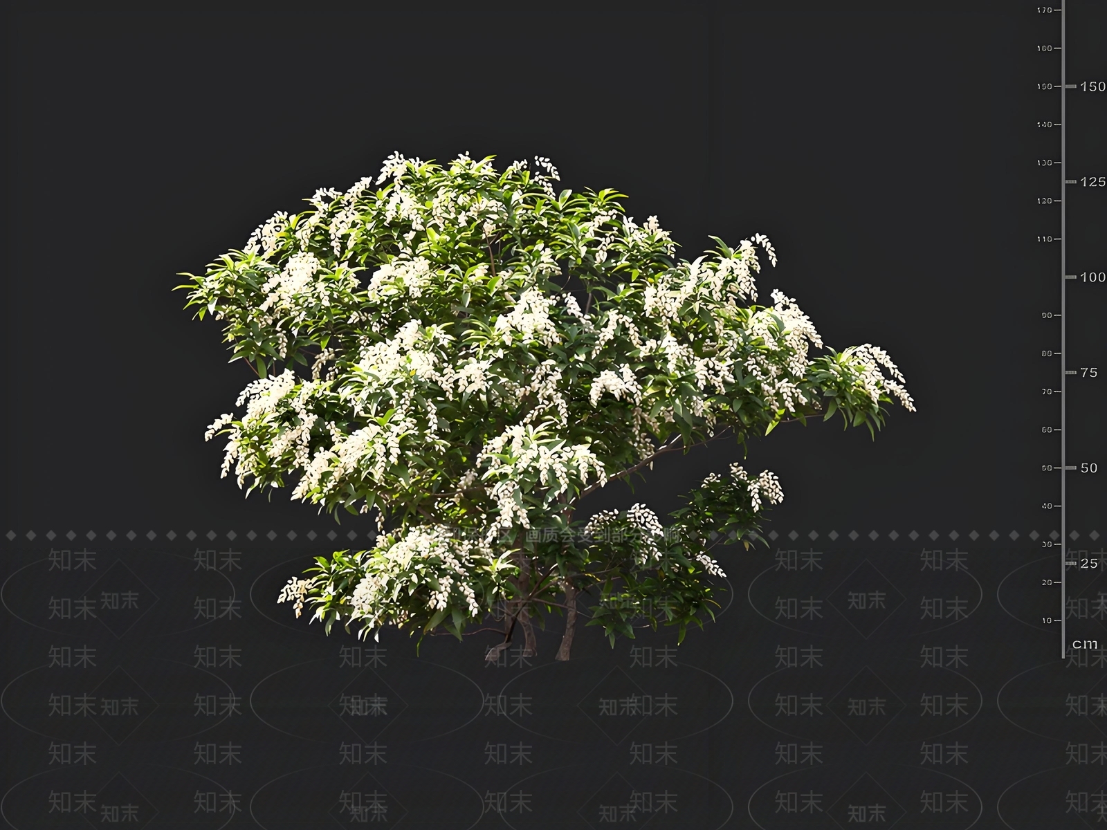 灌木3D模型下载【ID:1163130972】