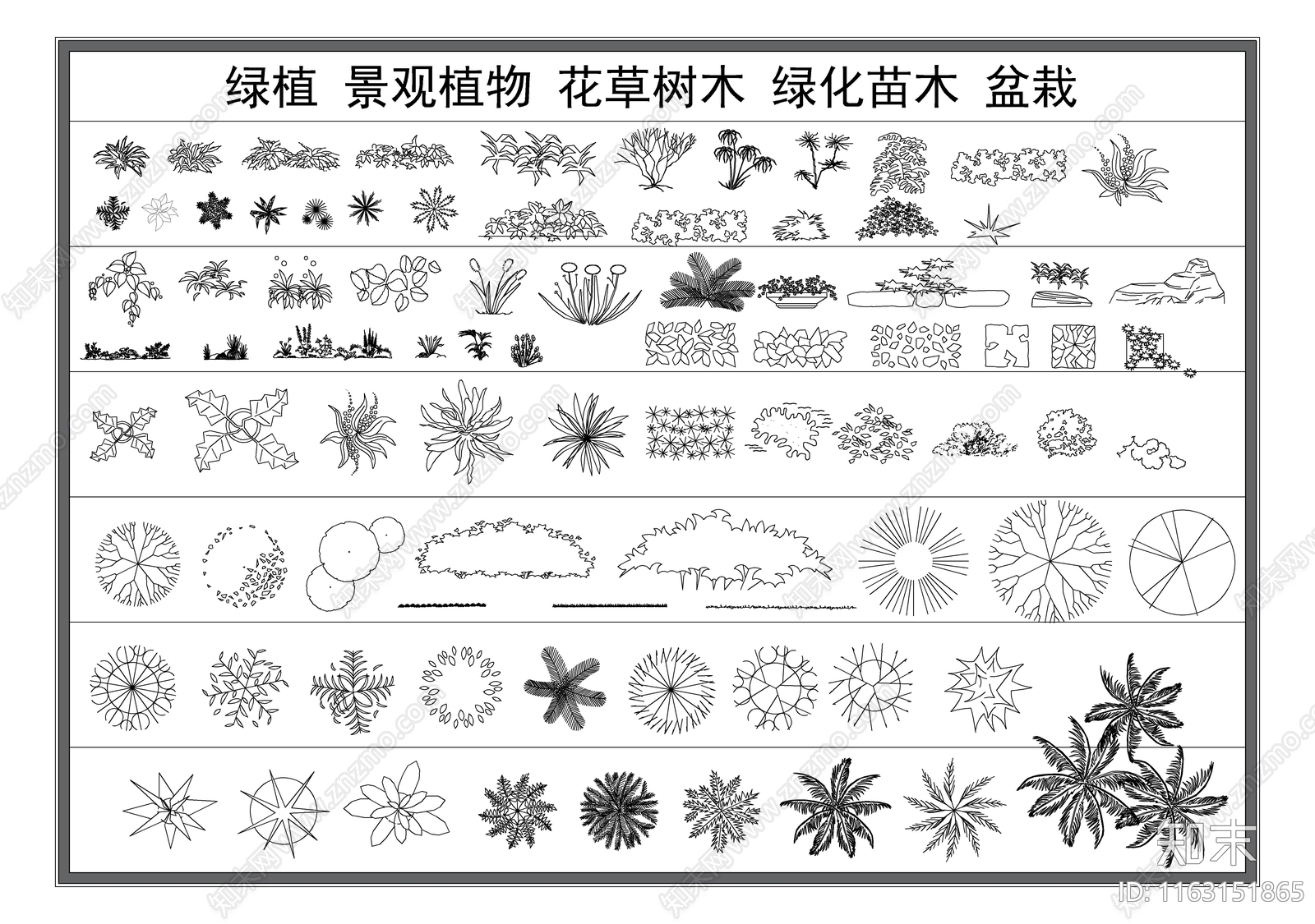 现代综合植物图库施工图下载【ID:1163151865】