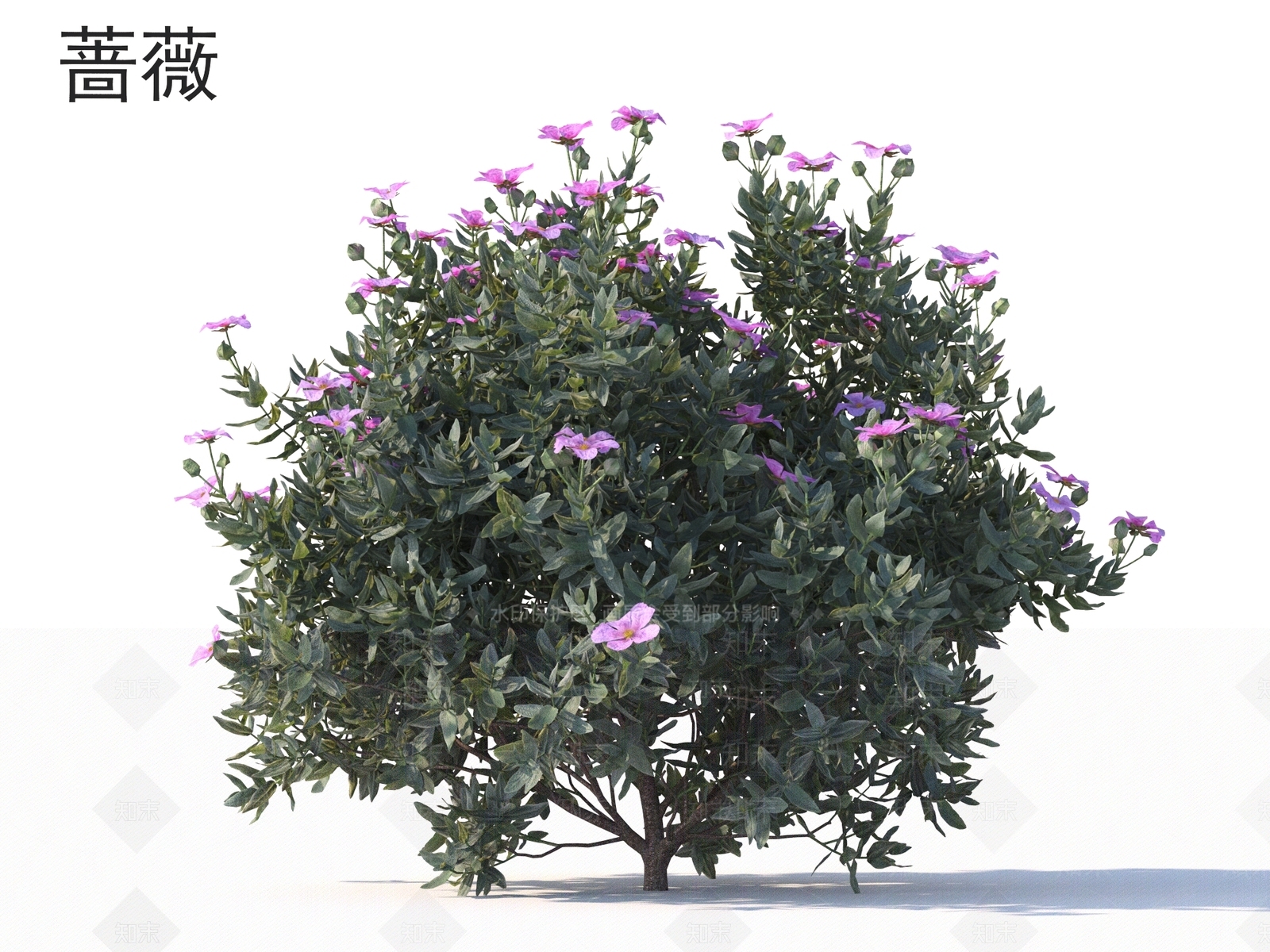 灌木3D模型下载【ID:1163168953】