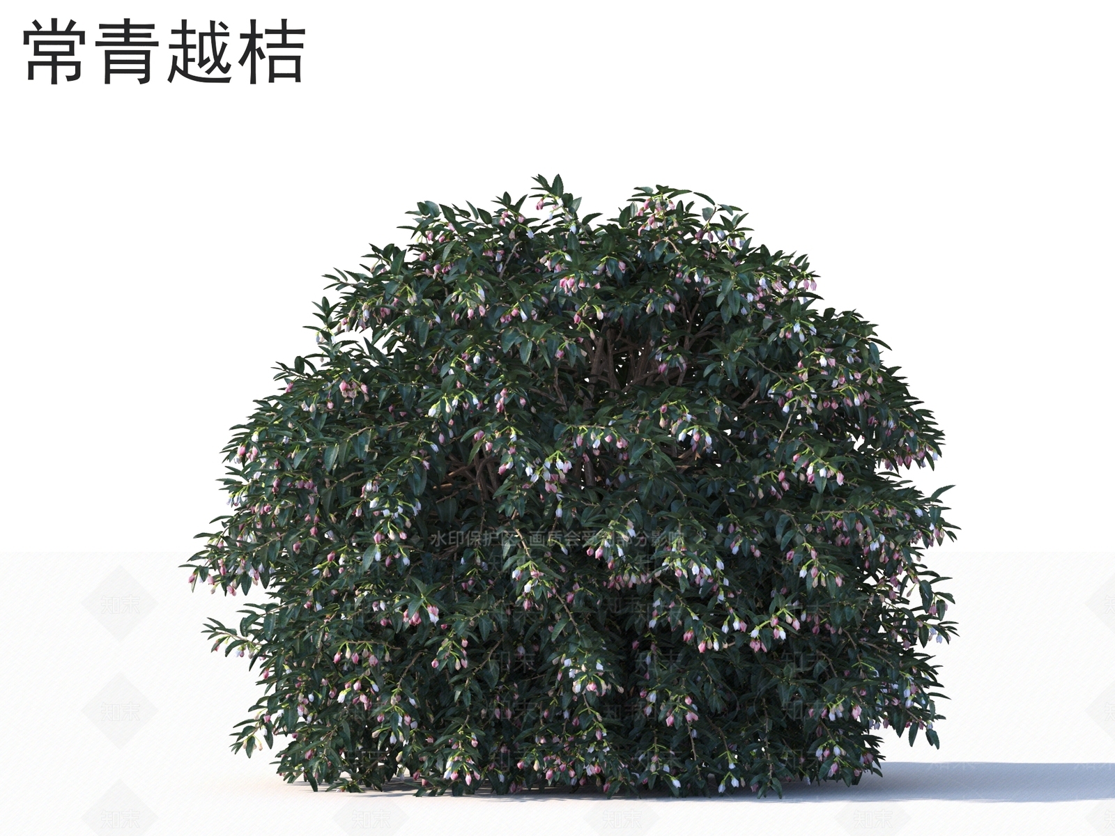 灌木3D模型下载【ID:1163191761】