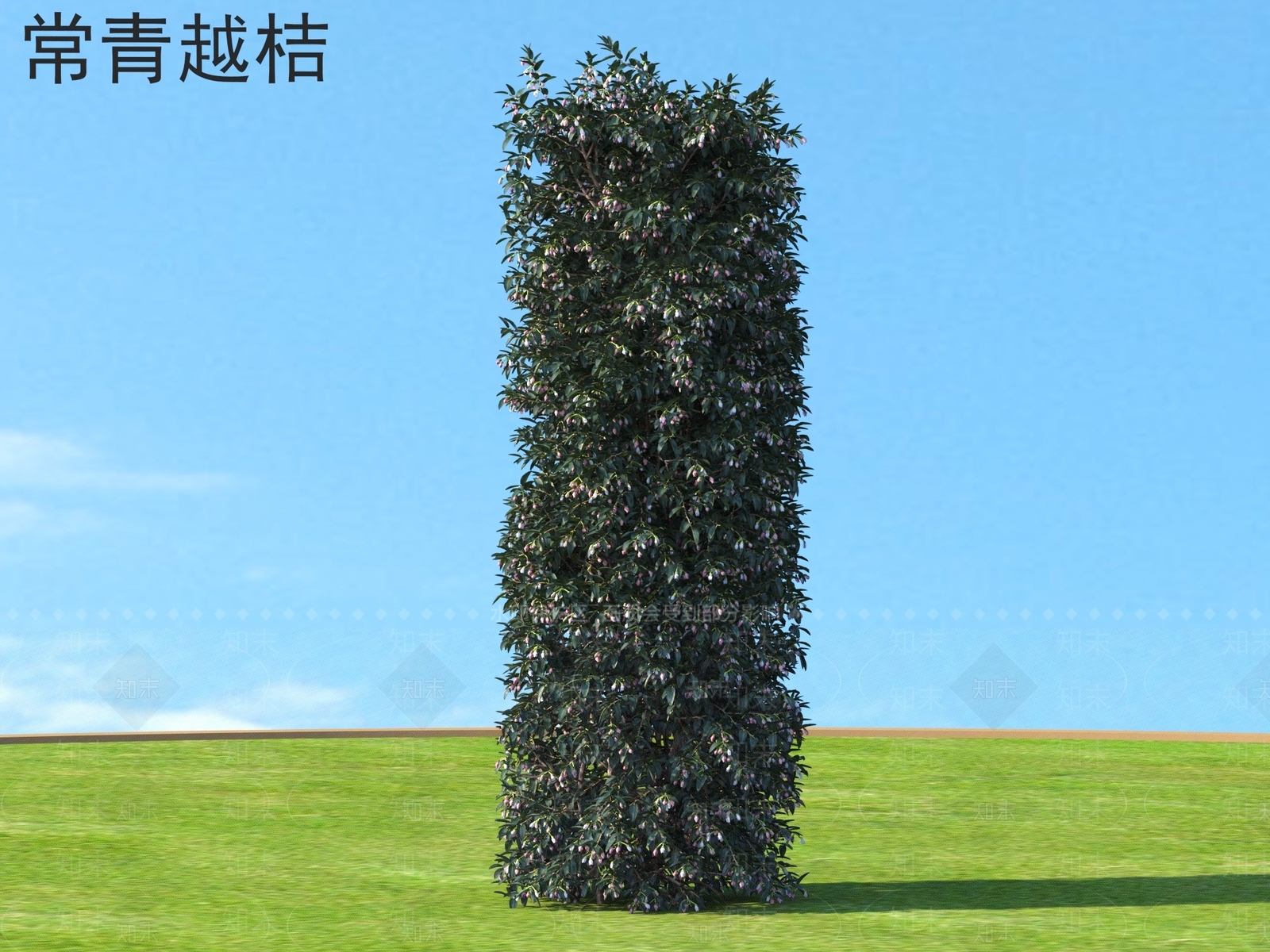 灌木3D模型下载【ID:1163192604】