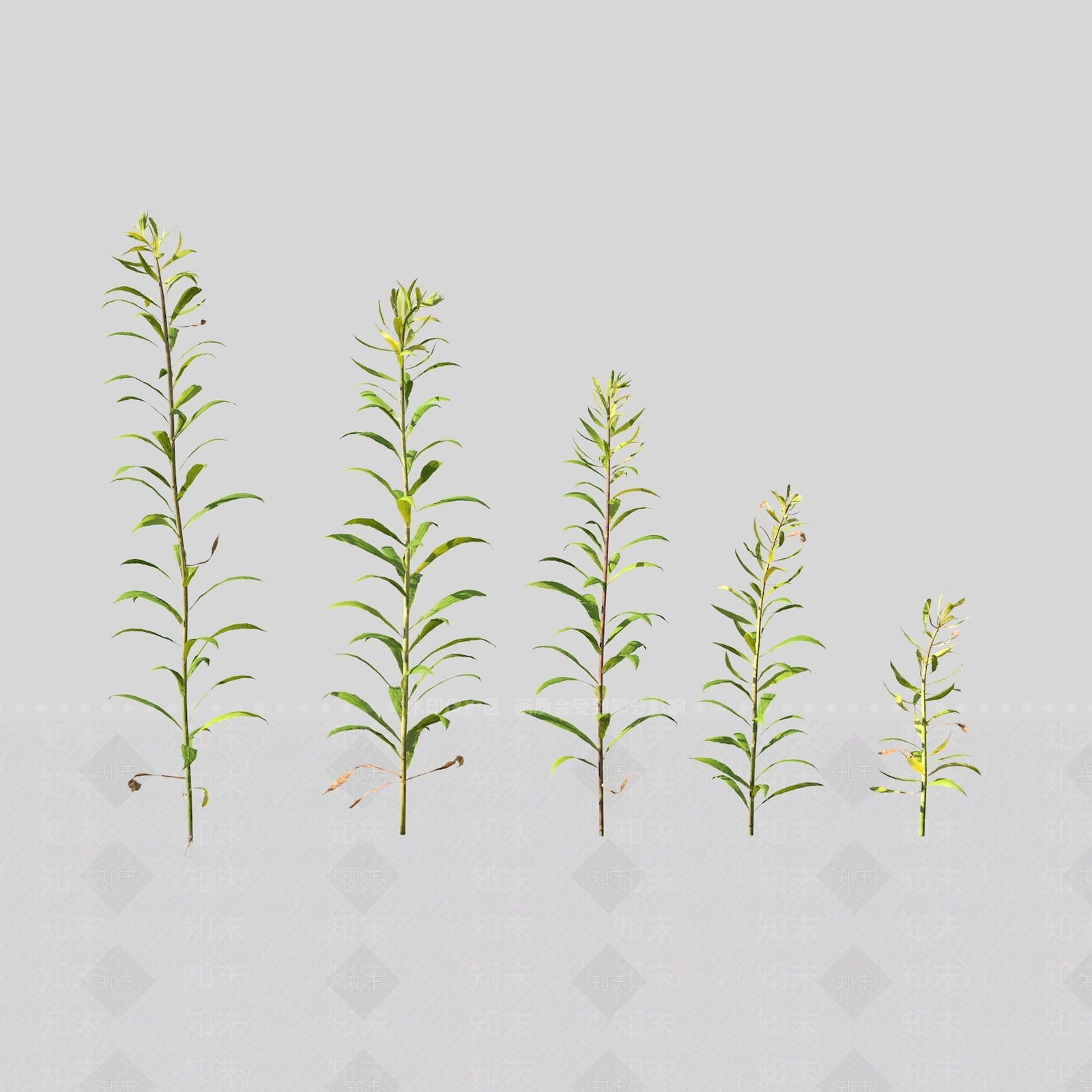 花草组合3D模型下载【ID:1163203683】