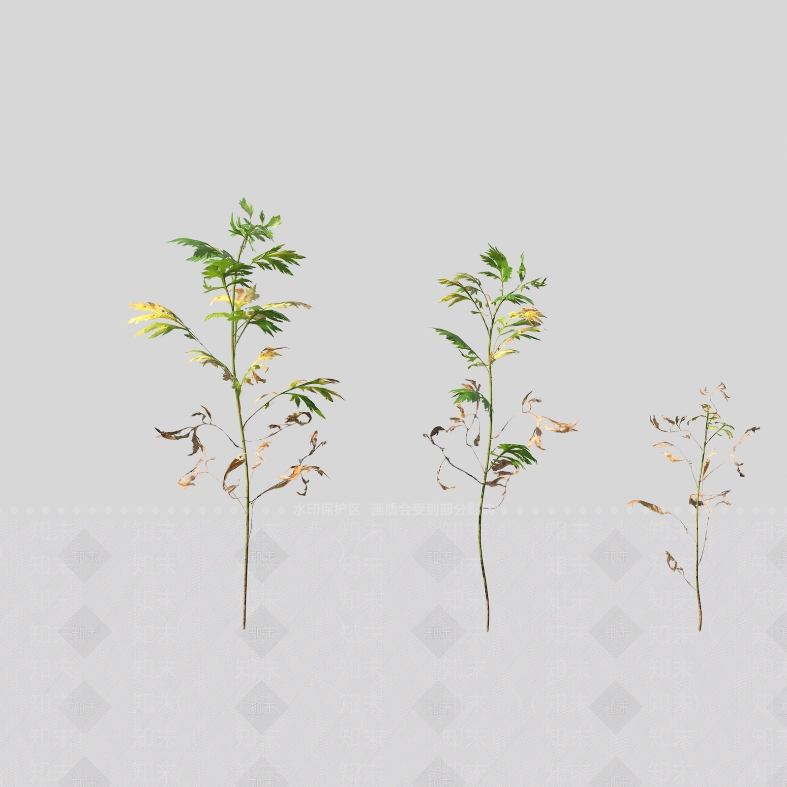 花草组合3D模型下载【ID:1163204429】