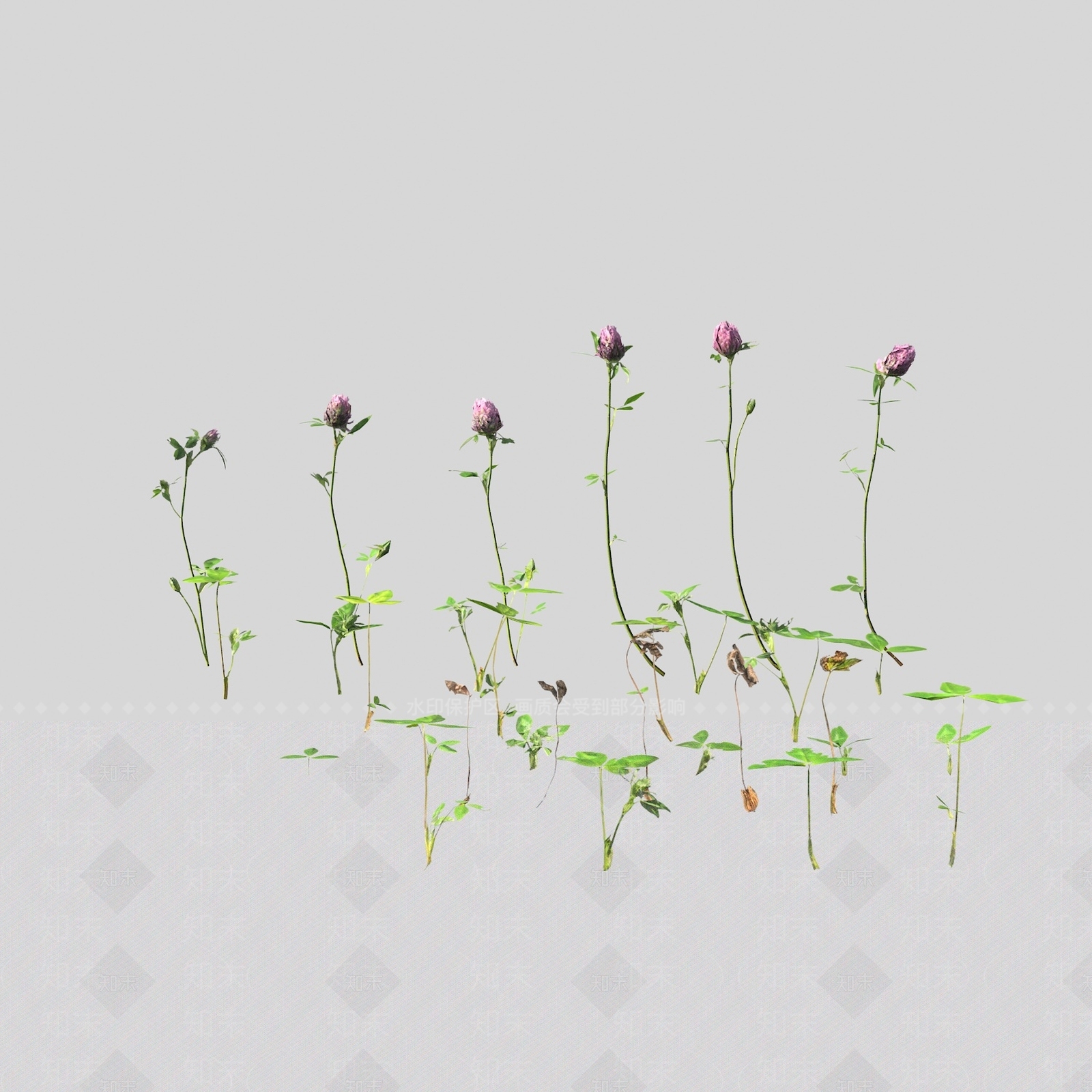 花草组合3D模型下载【ID:1163205987】