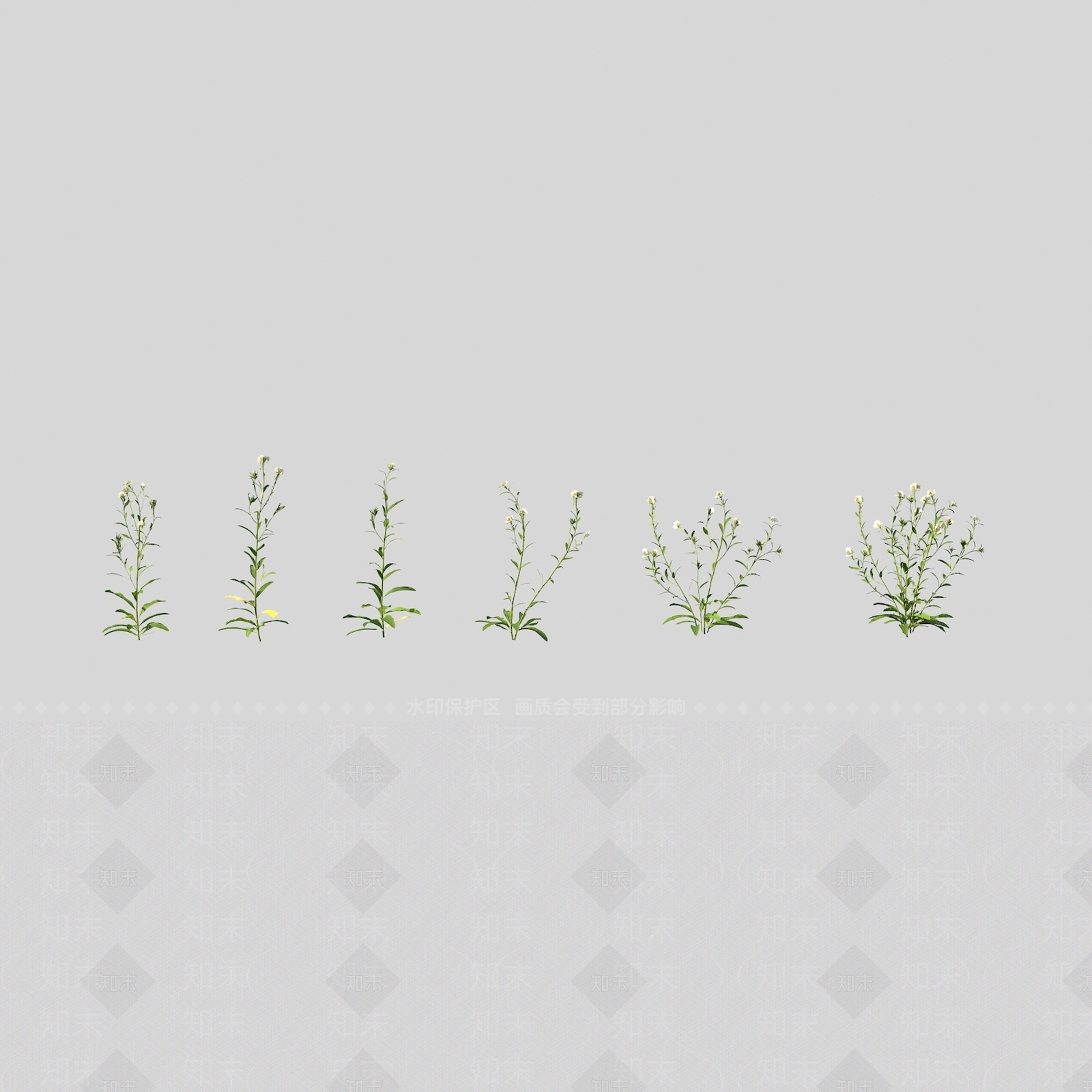 花草组合3D模型下载【ID:1163207521】