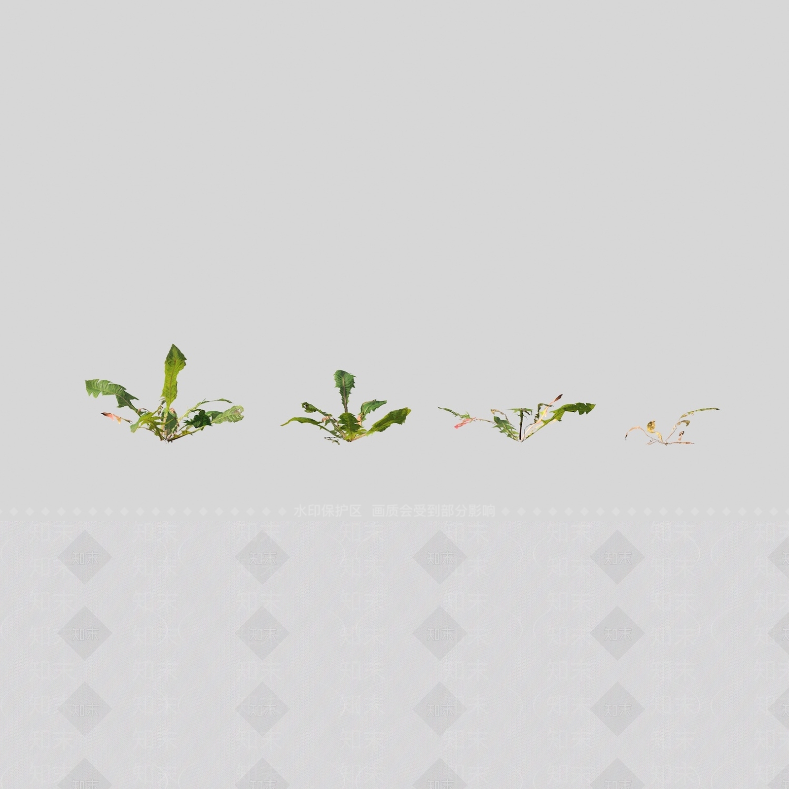 花草组合3D模型下载【ID:1163208073】