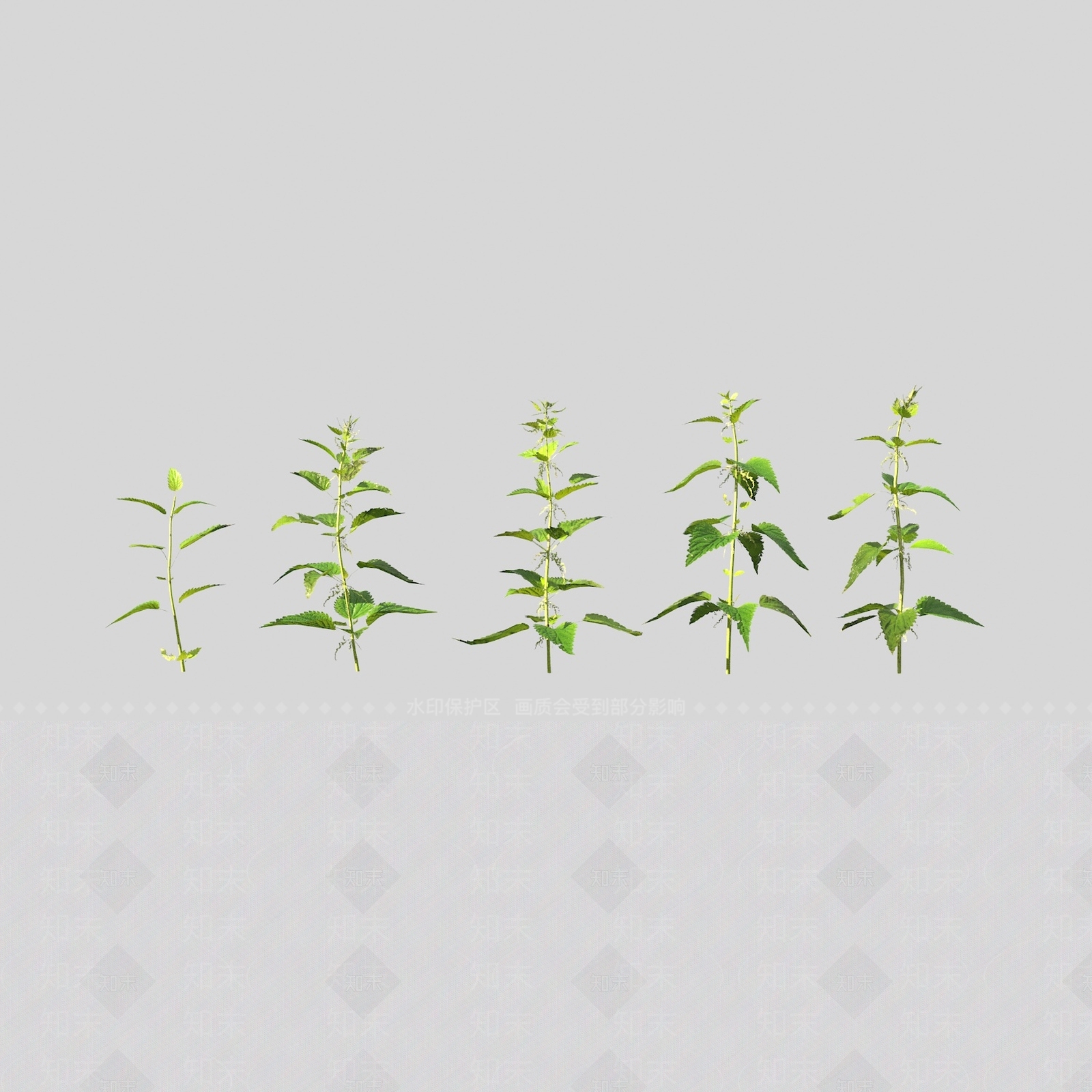 花草组合3D模型下载【ID:1163208179】
