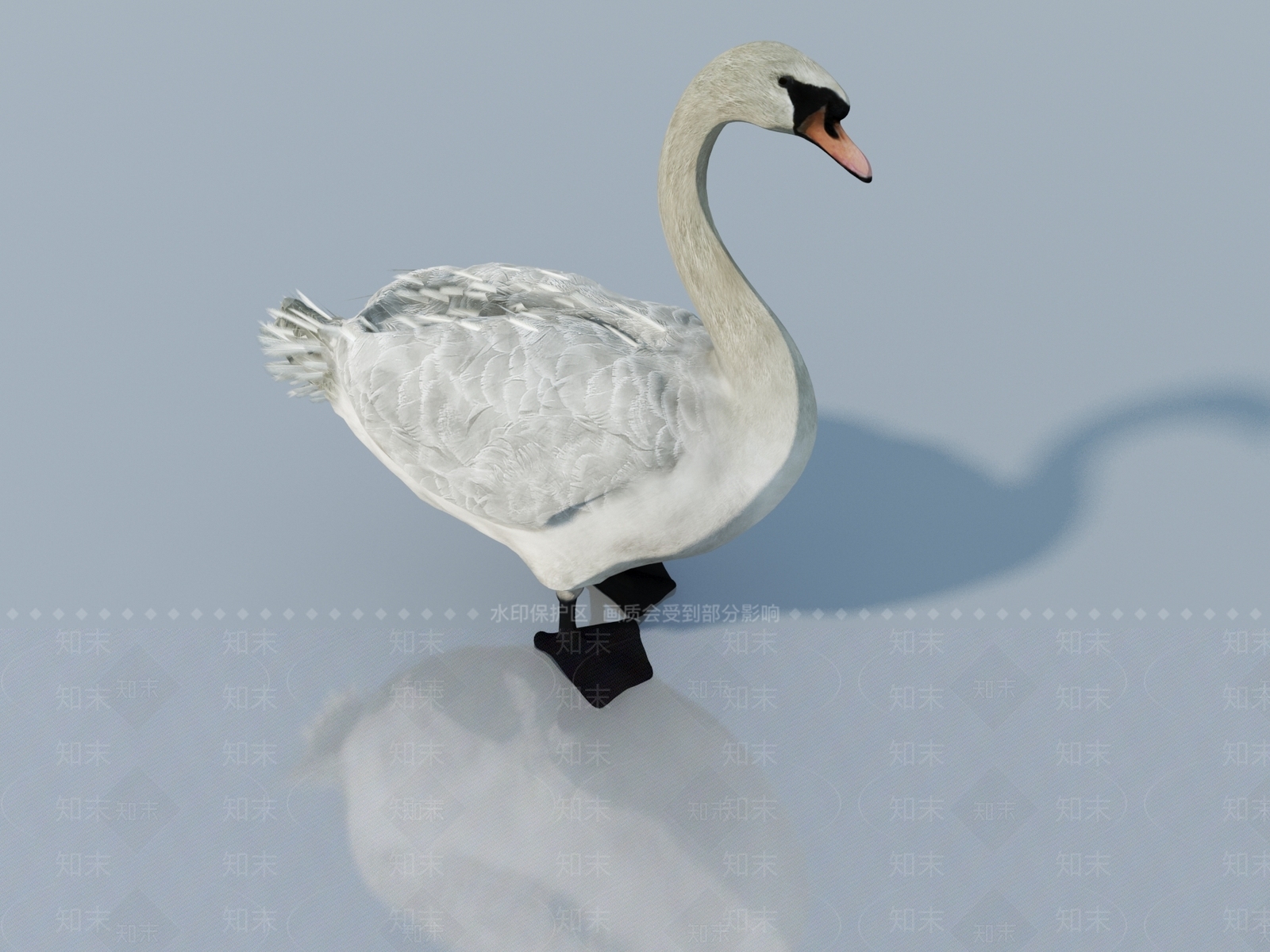 家禽类动物3D模型下载【ID:1163211138】
