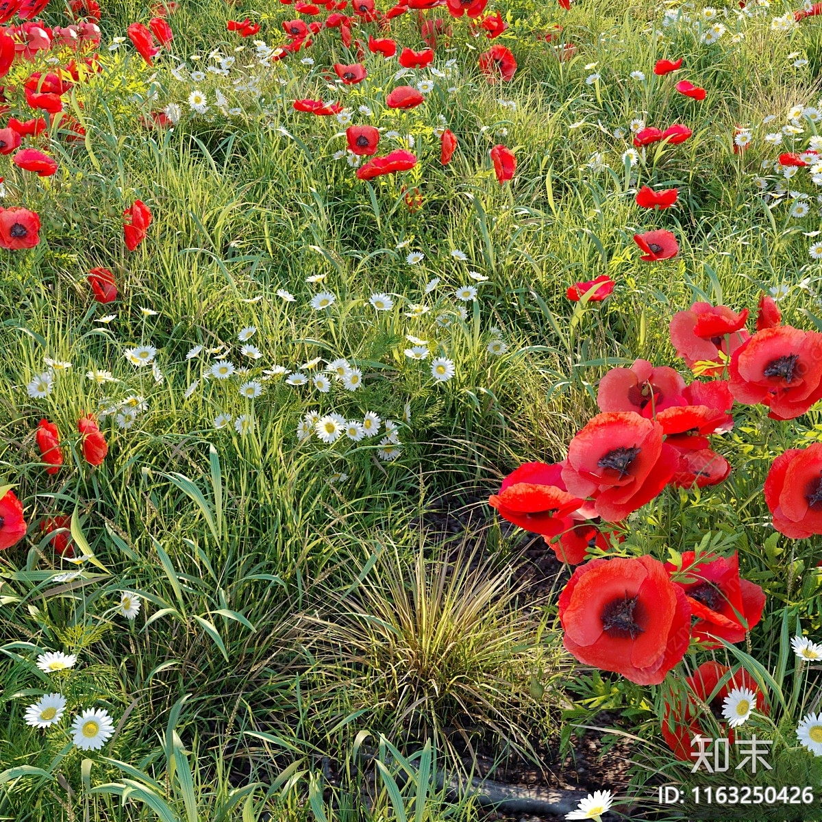 草坪3D模型下载【ID:1163250426】