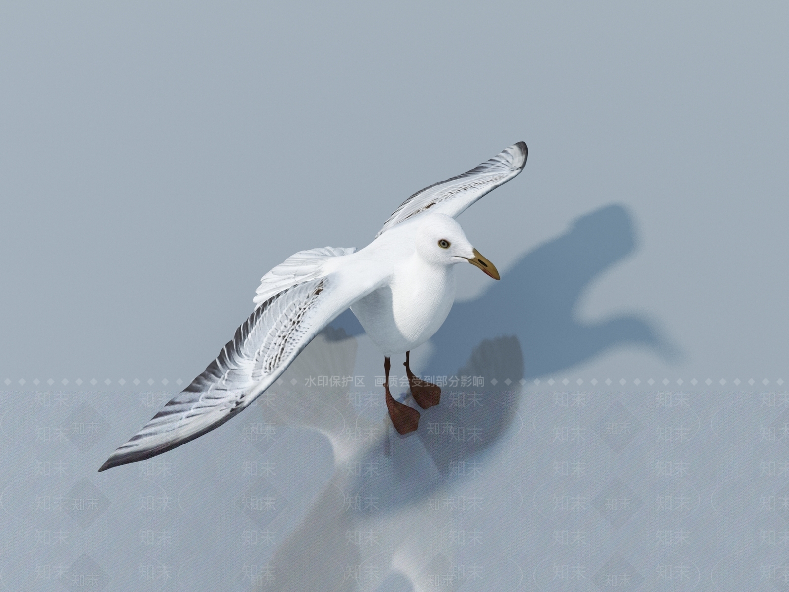 飞行类动物3D模型下载【ID:1163263169】