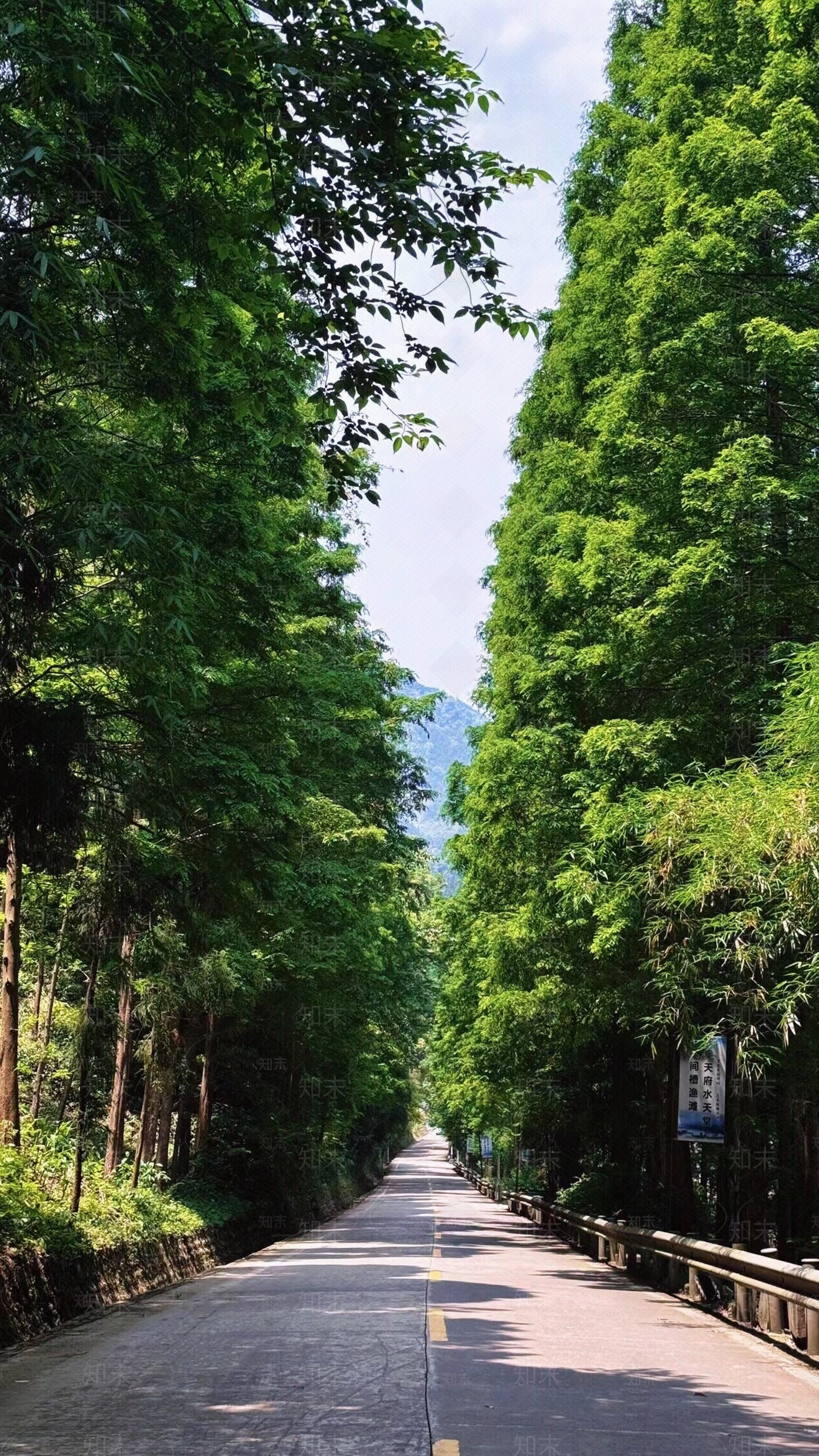 现代街道外景贴图下载【ID:1163274651】