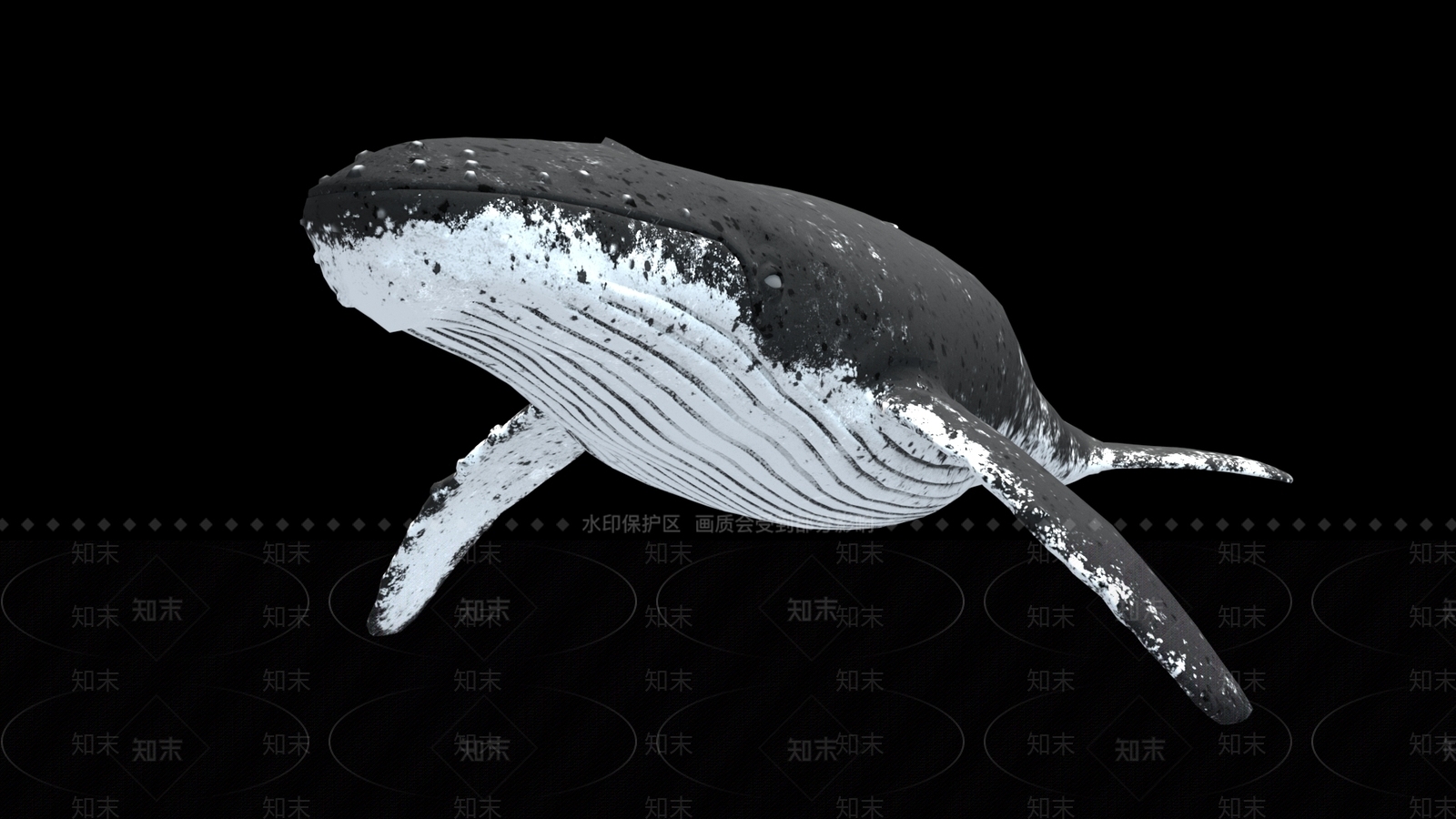 水生类动物3D模型下载【ID:1163285646】