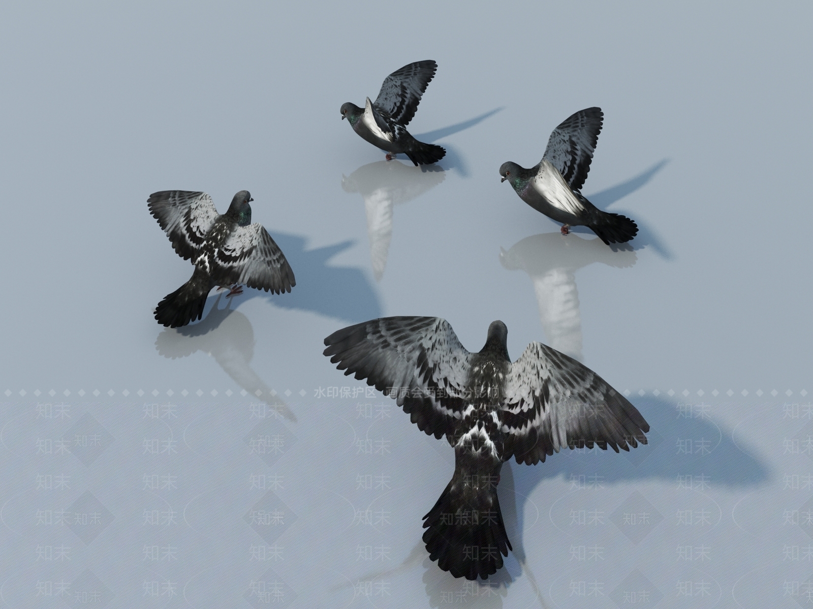 飞行类动物3D模型下载【ID:1163312295】