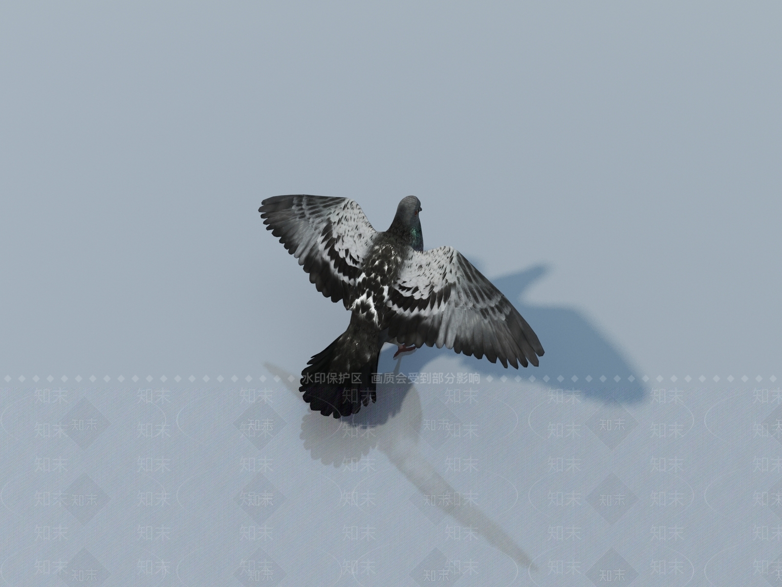 飞行类动物3D模型下载【ID:1163314095】
