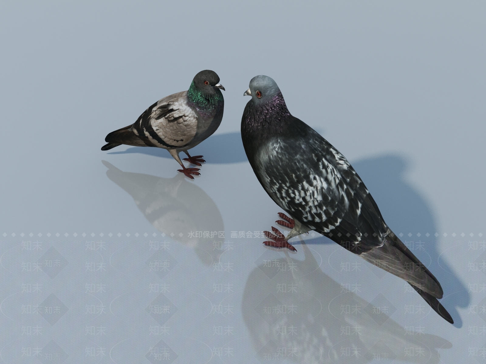 飞行类动物3D模型下载【ID:1163314118】