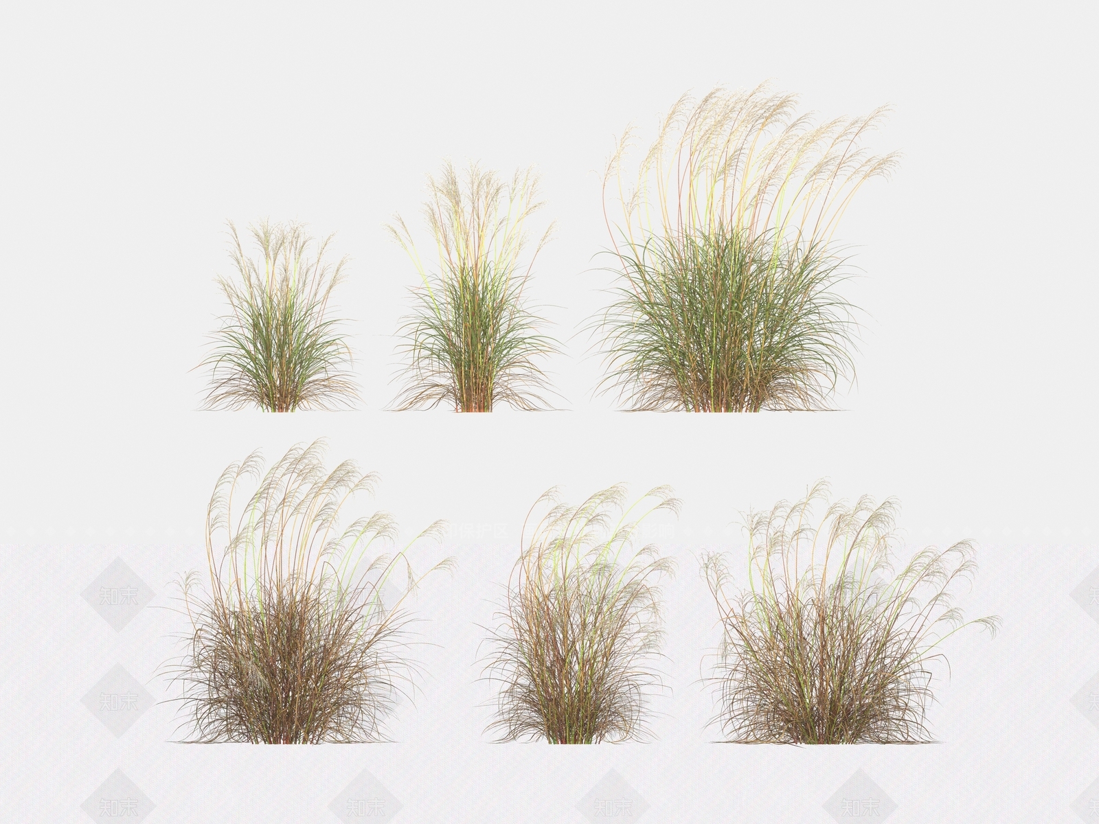 草3D模型下载【ID:1163315953】