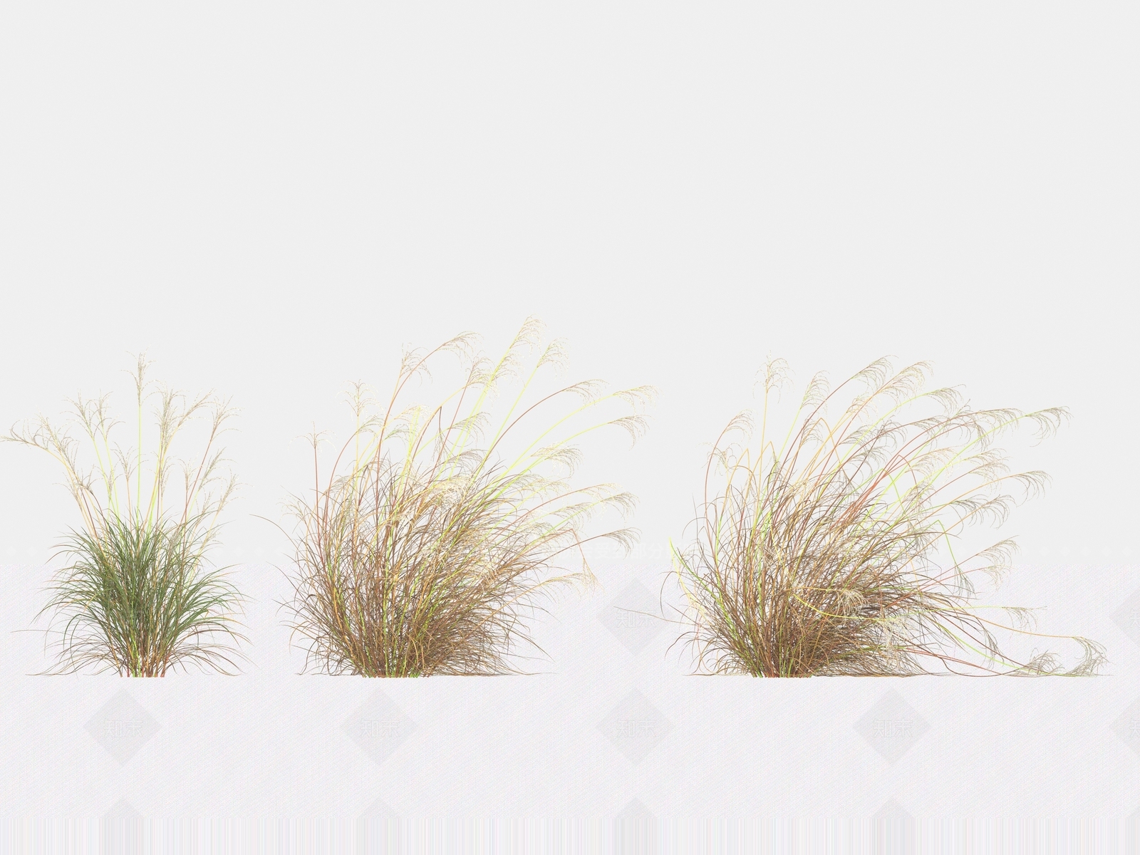 草3D模型下载【ID:1163316070】