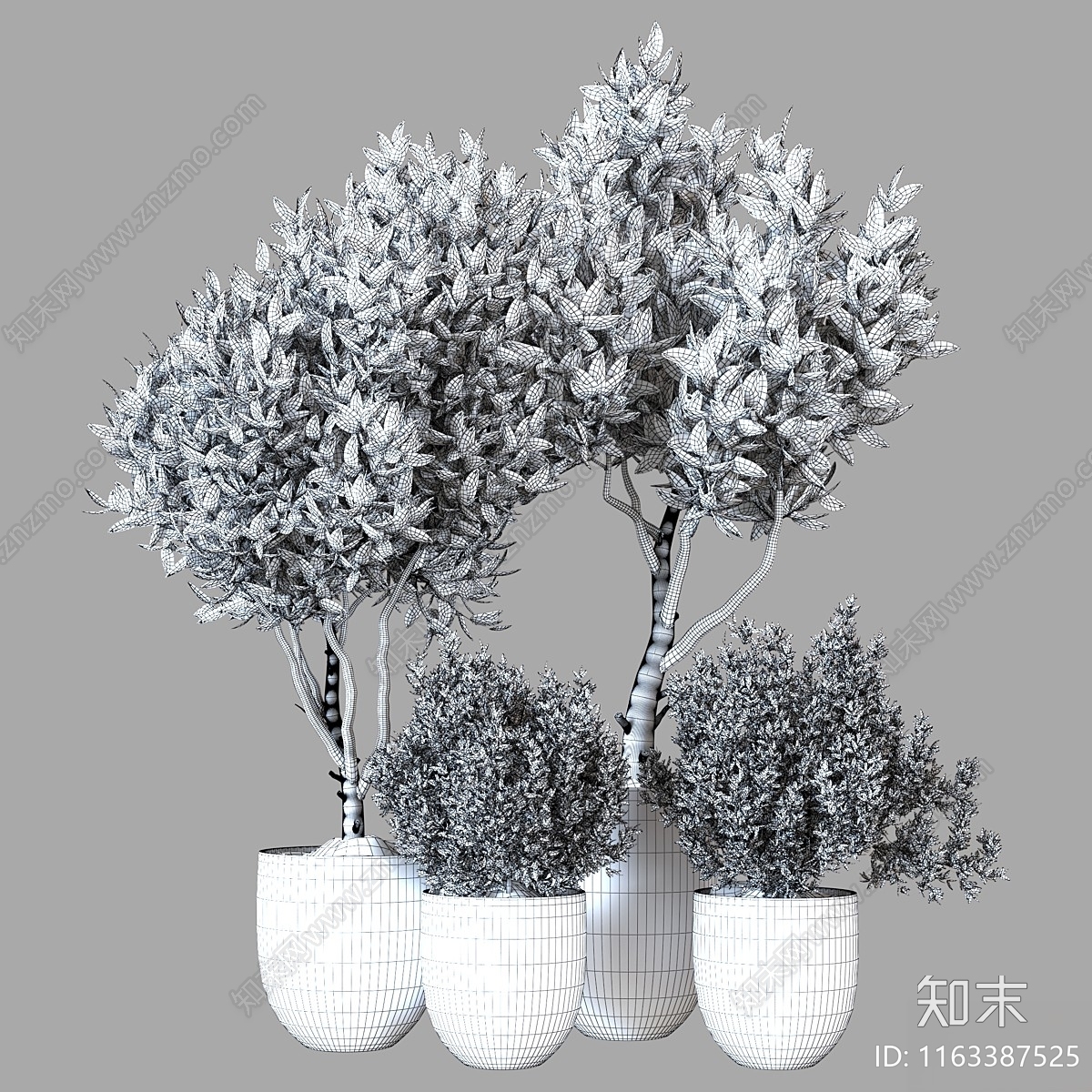 盆栽3D模型下载【ID:1163387525】