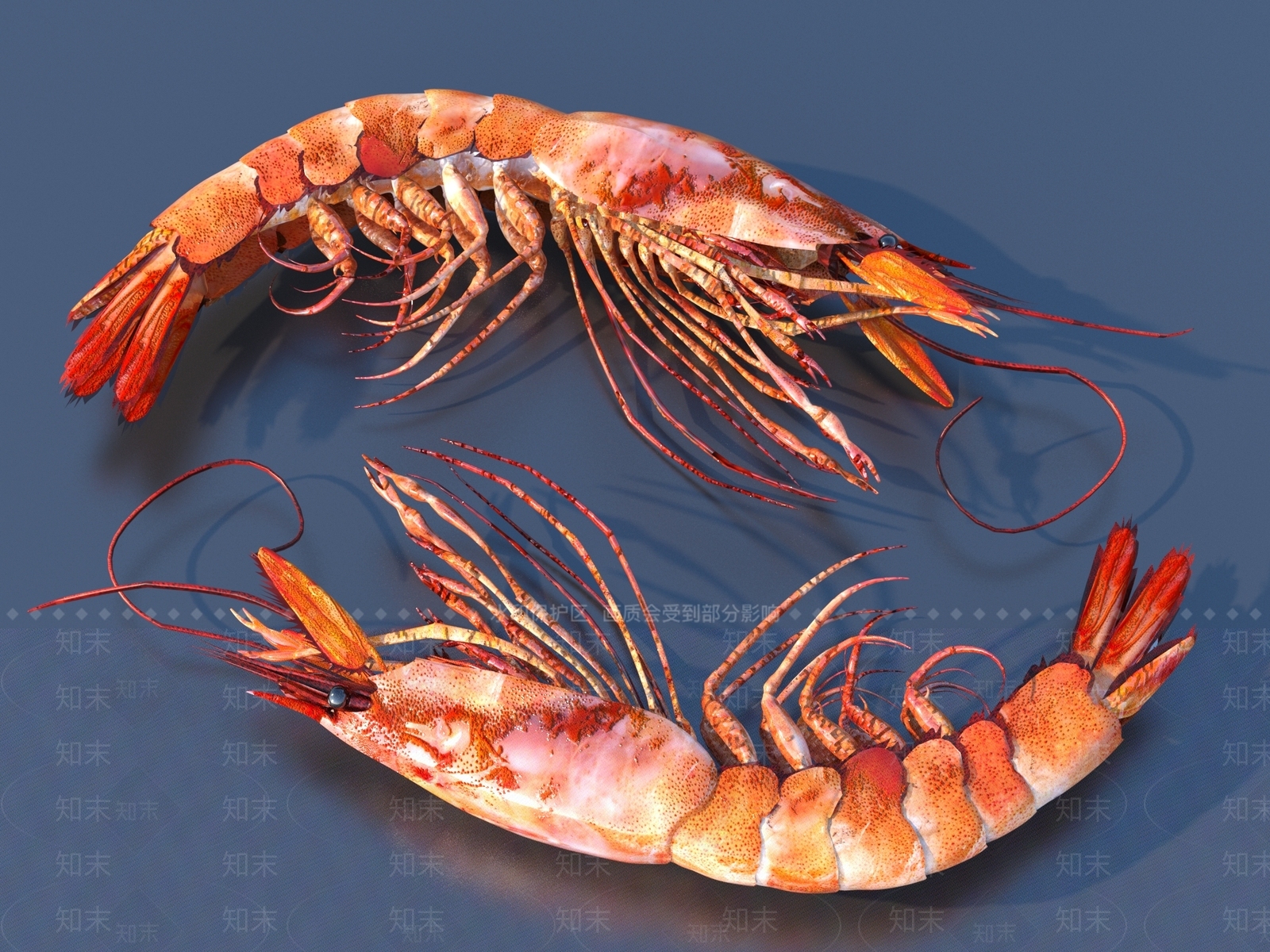 水生类动物3D模型下载【ID:1163465994】
