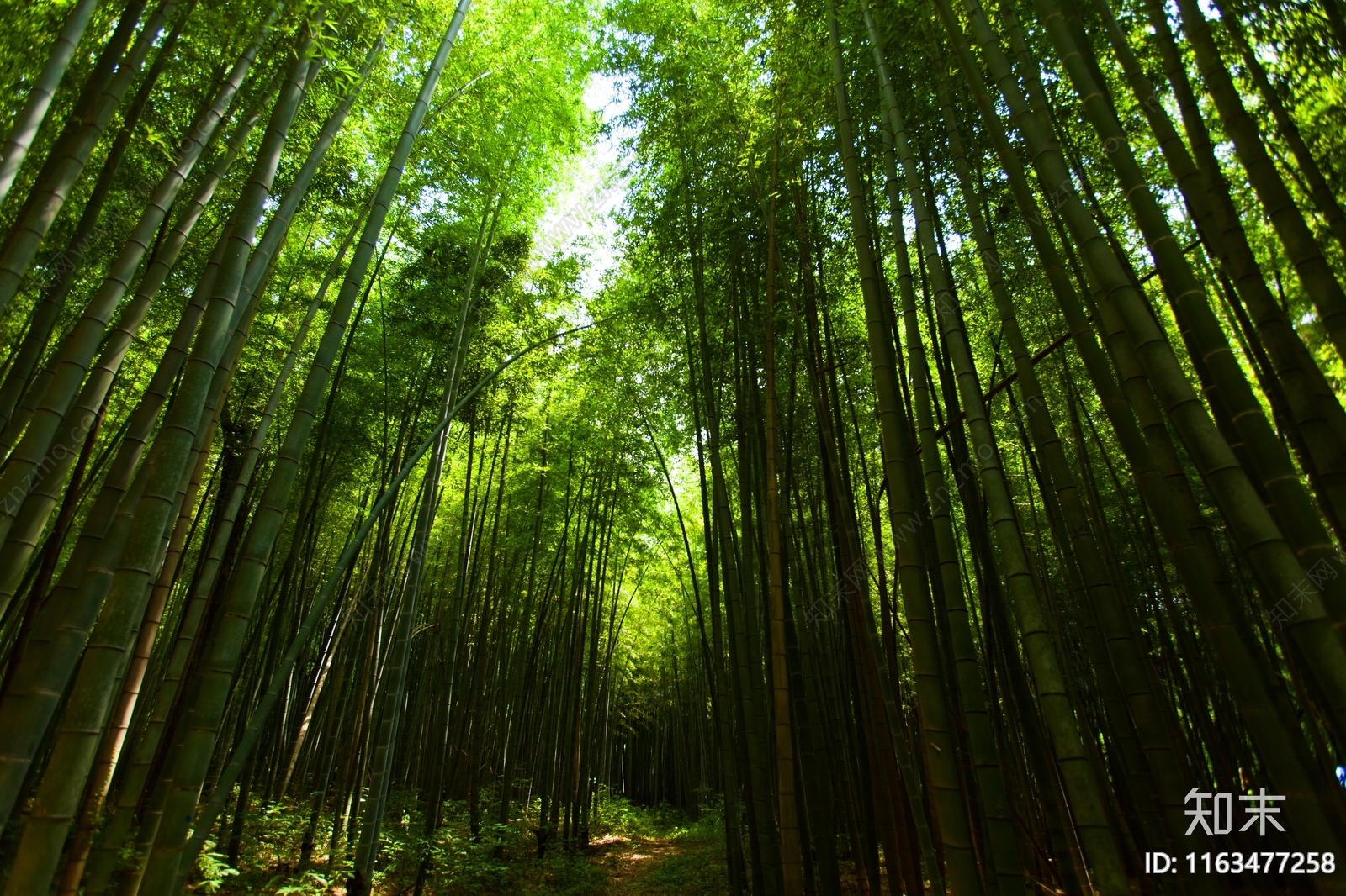 现代风景贴图下载【ID:1163477258】