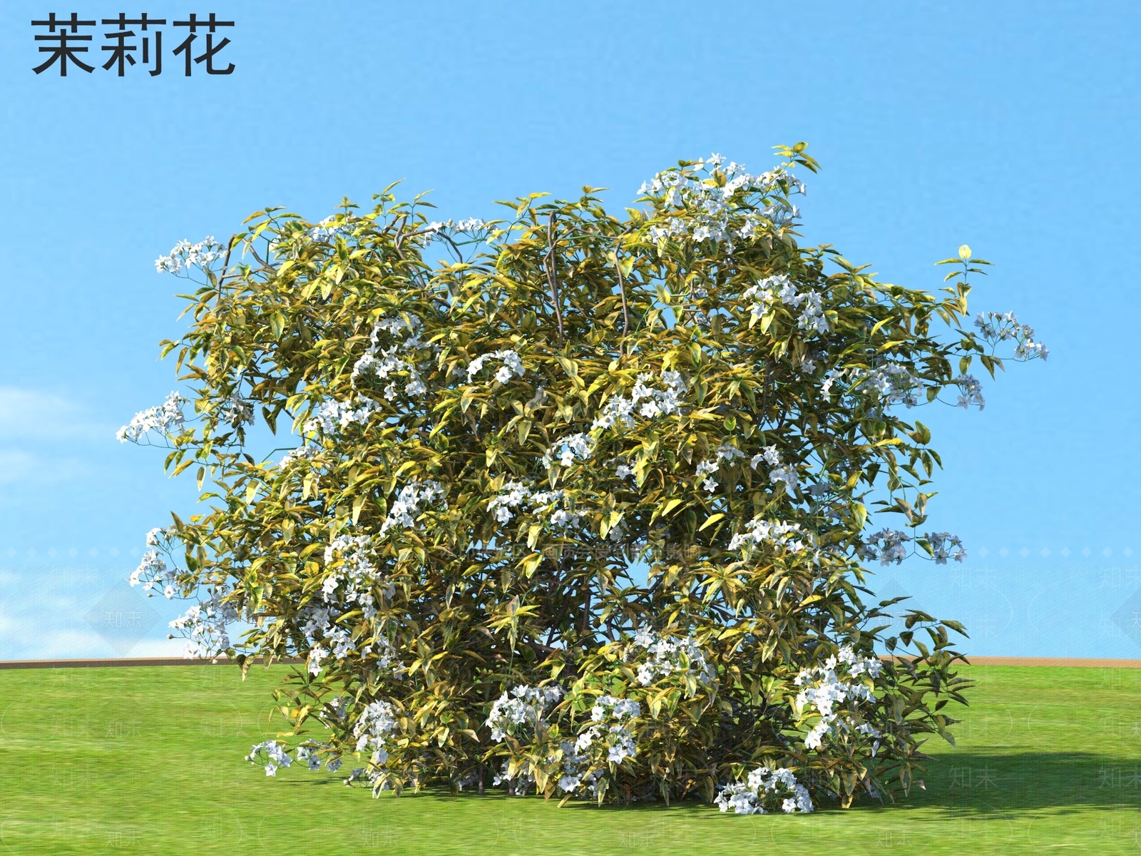 灌木3D模型下载【ID:1163532579】