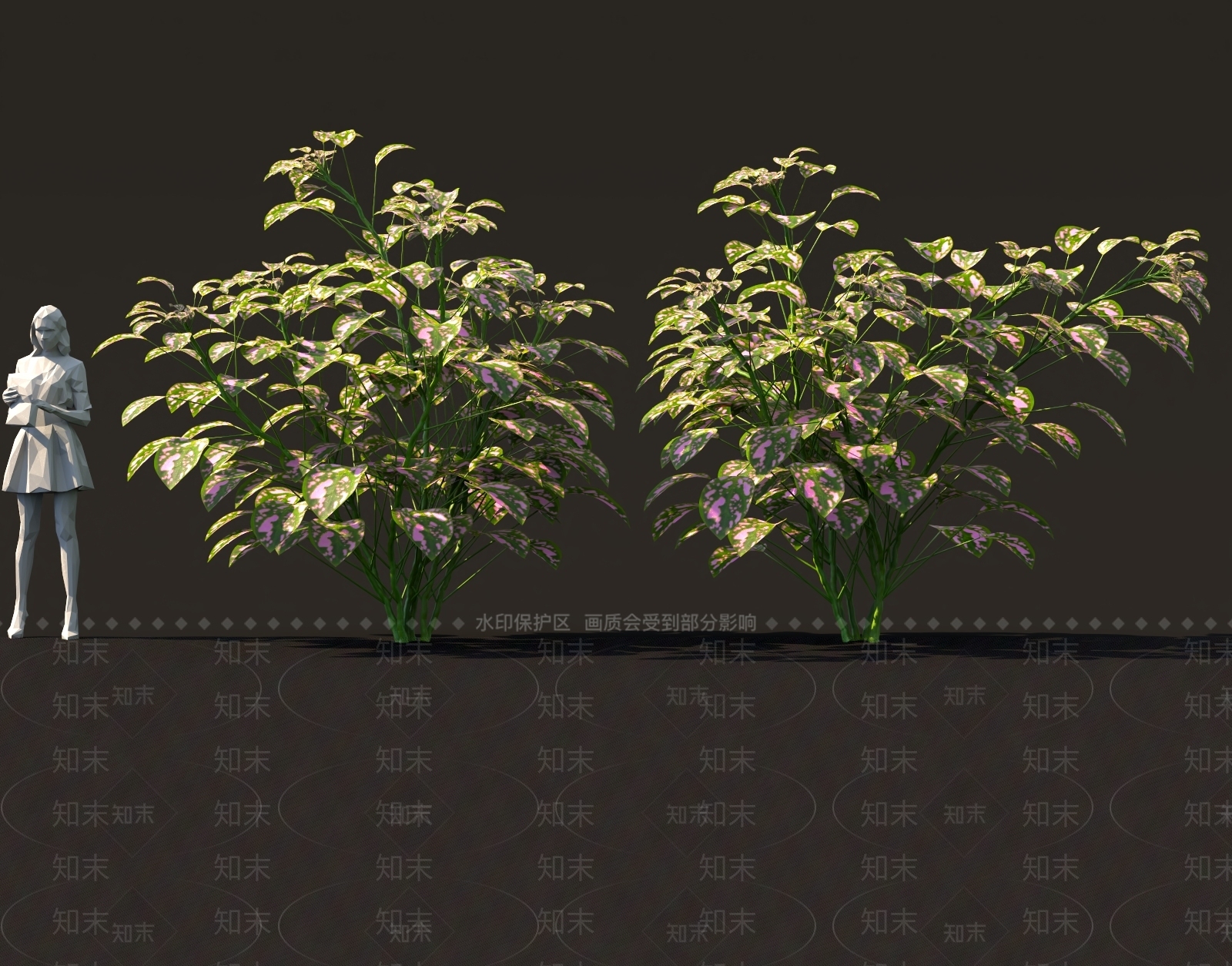 其他绿植3D模型下载【ID:1163603012】