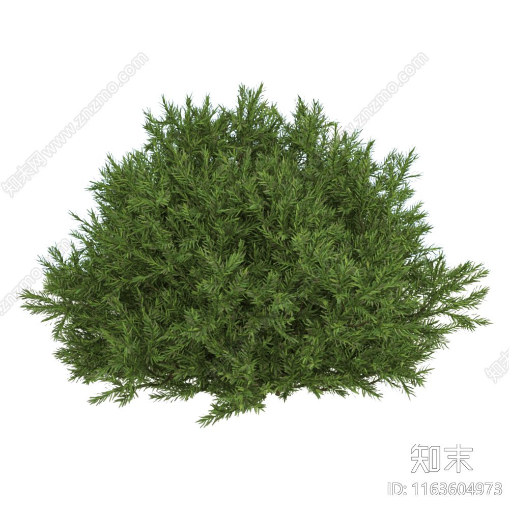 植物堆3D模型下载【ID:1163604973】