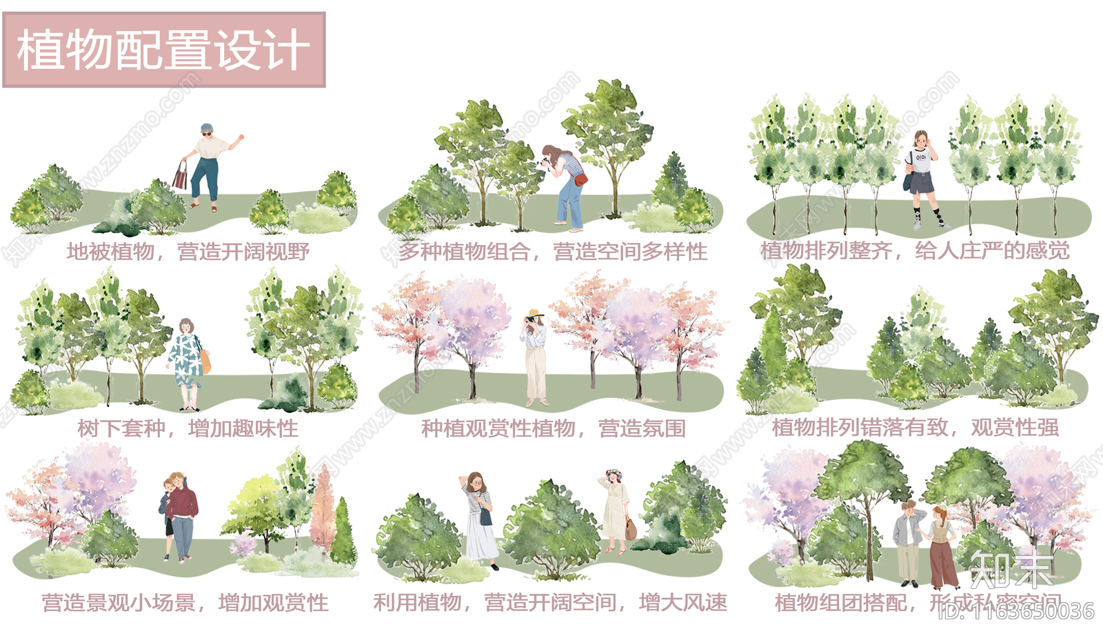 植物分析图设计素材精品下载_知末网